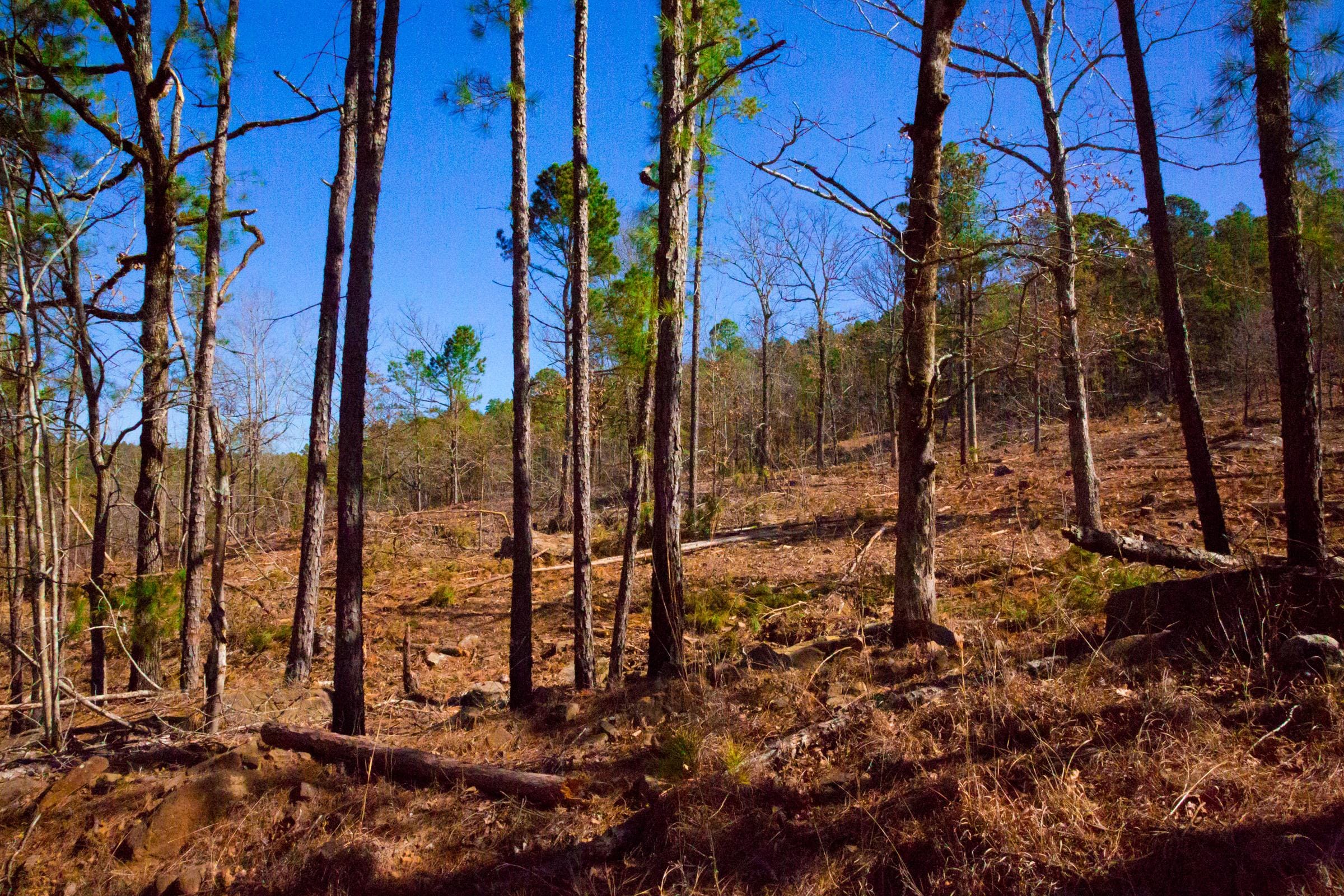 Stone Creek Phase II Tract 201 photo 6