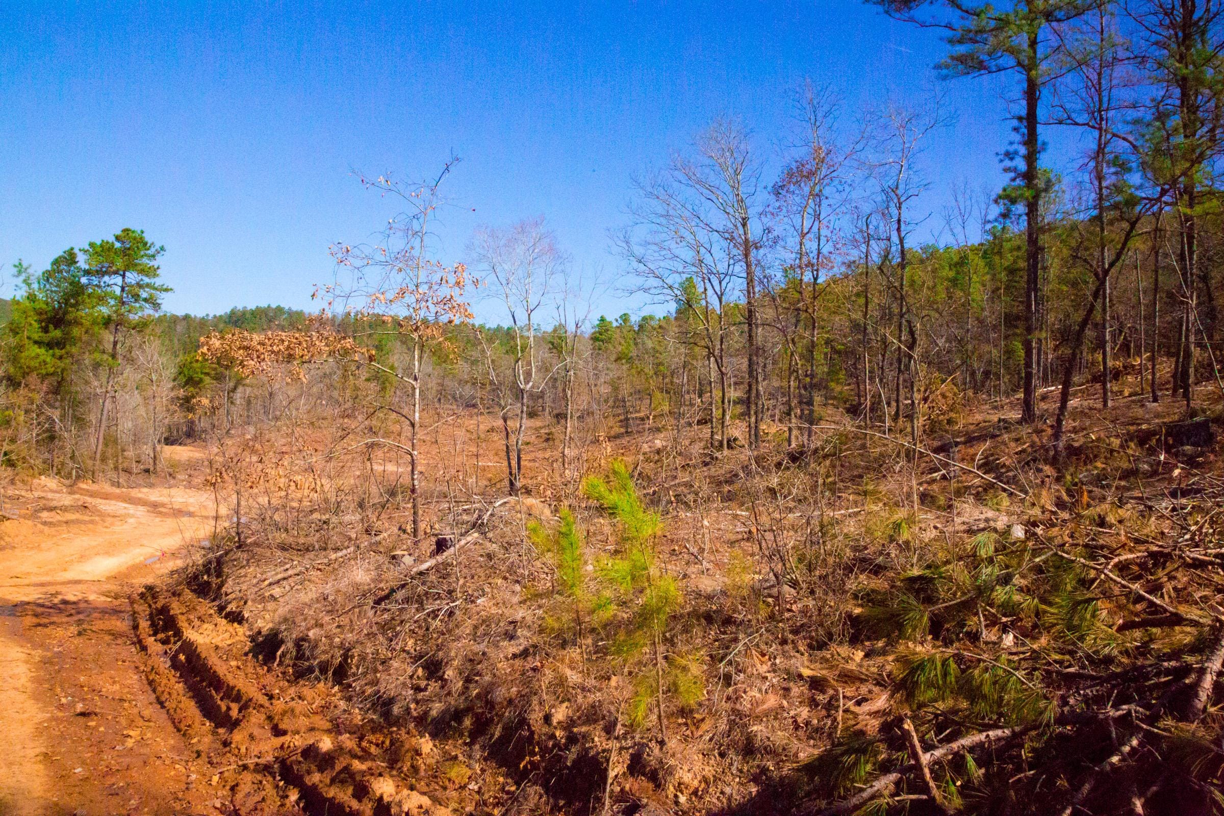 Stone Creek Phase II Tract 201 photo 8