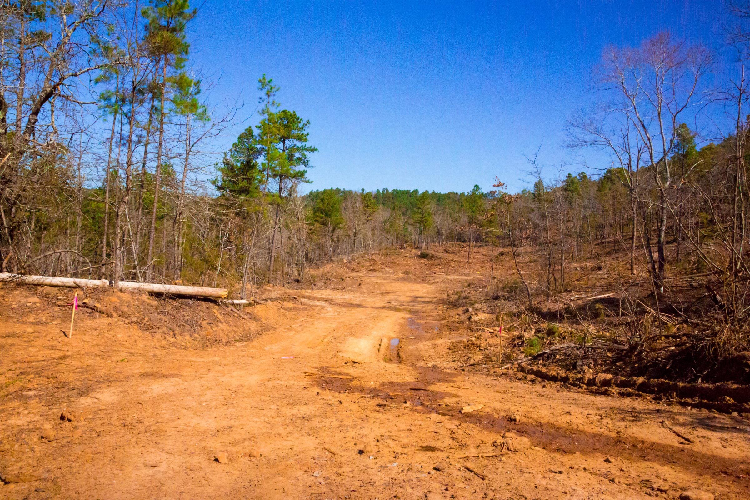 Stone Creek Phase II Tract 201 photo 10