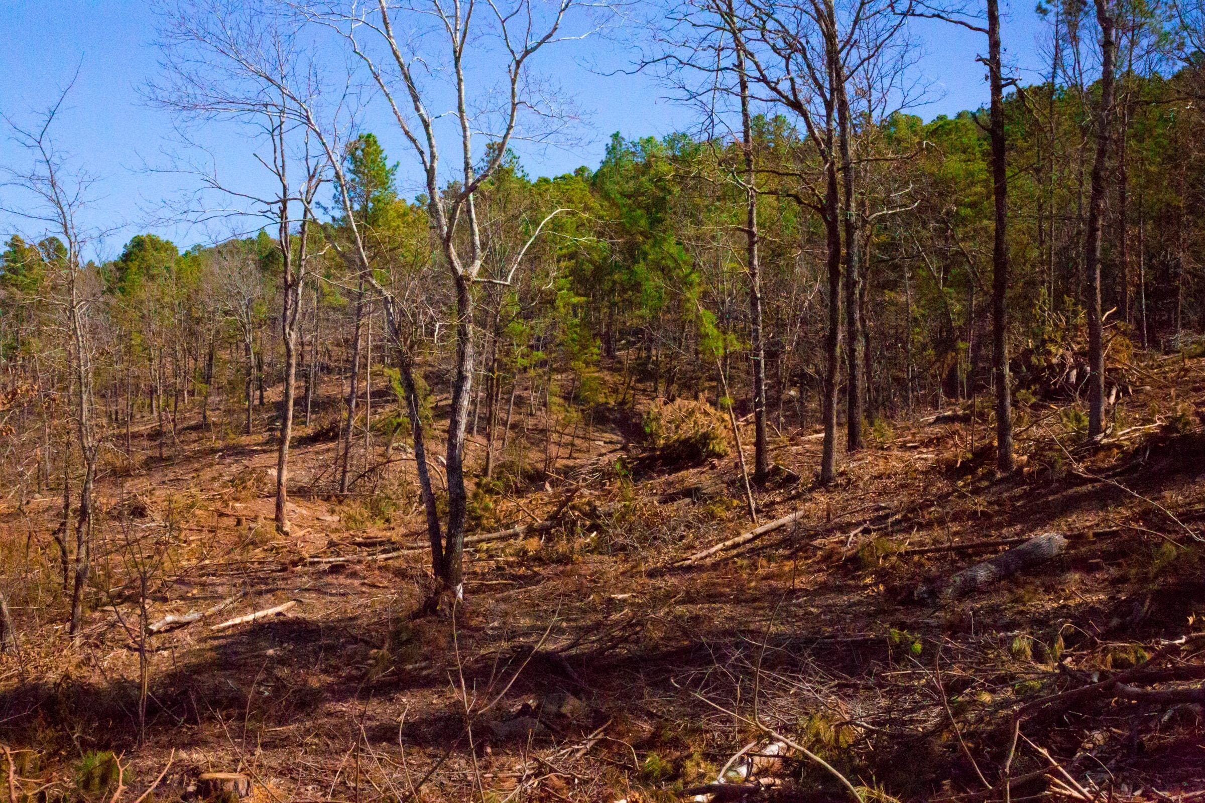 Stone Creek Phase II Tract 201 photo 11