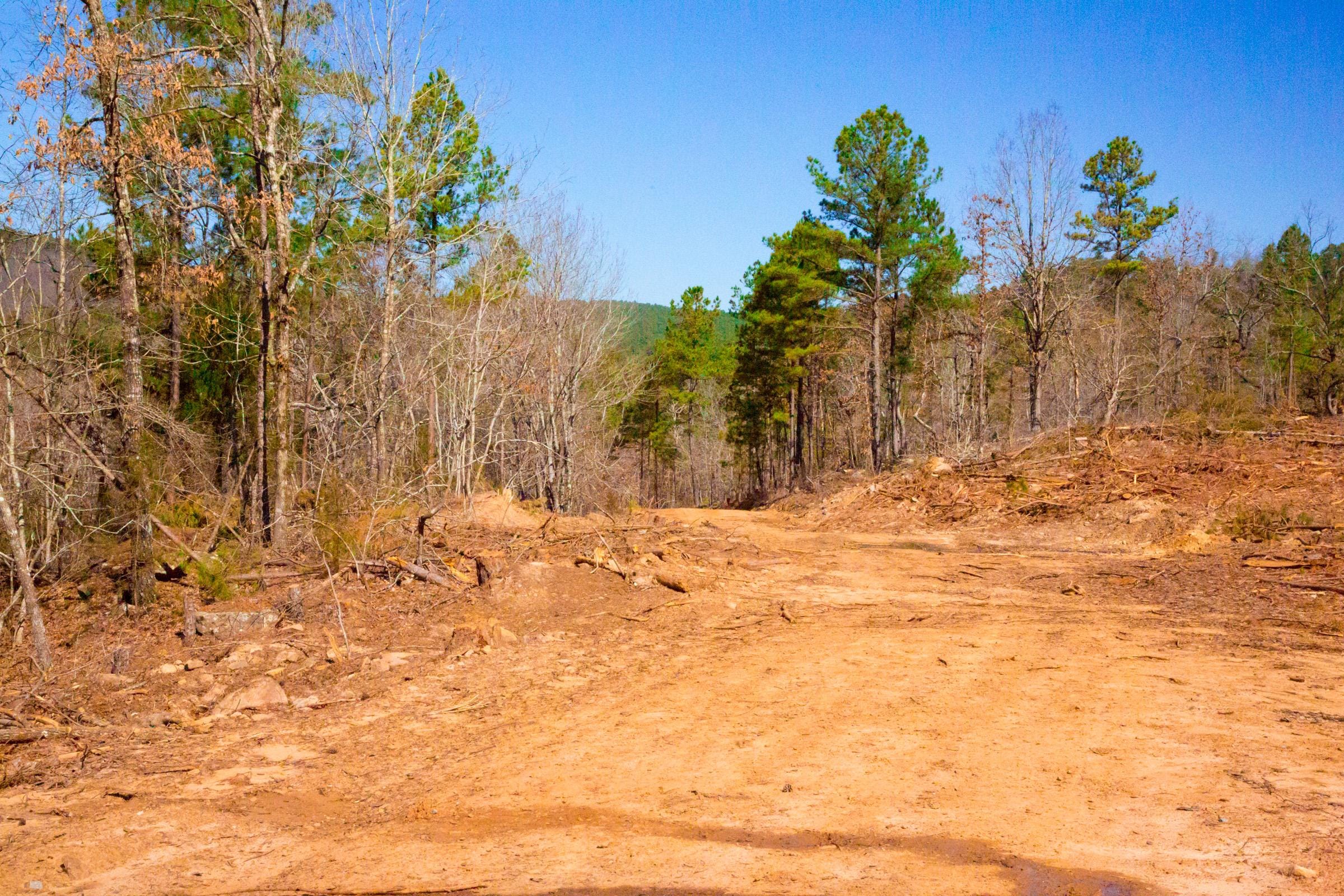 Stone Creek Phase II Tract 201 photo 12