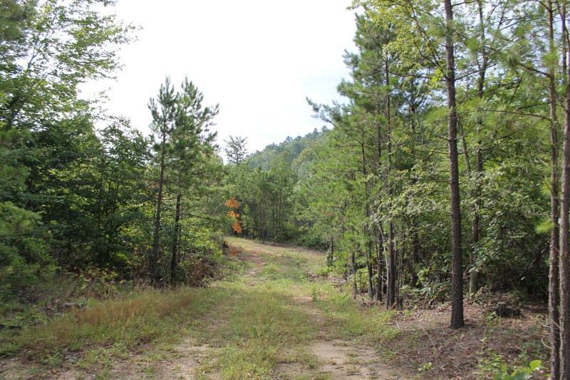 Trophy Ridge Phase III Tract 5 photo 1
