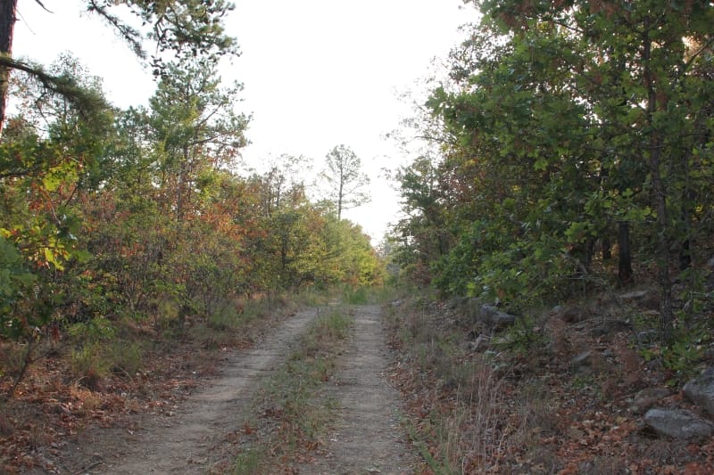 Lake View Ranch Tract 36 photo 1