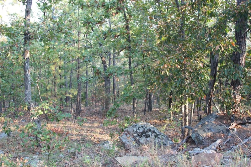 Lake View Ranch Tract 36 photo 2