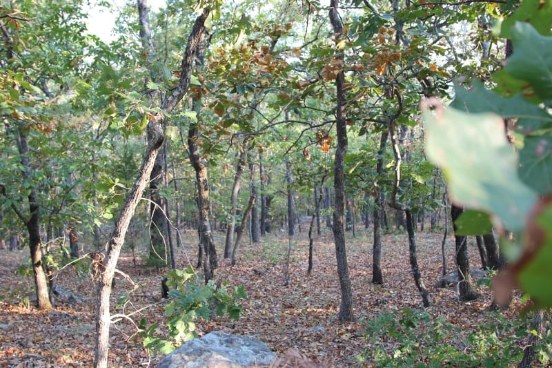 Lake View Ranch Tract 36 photo 3