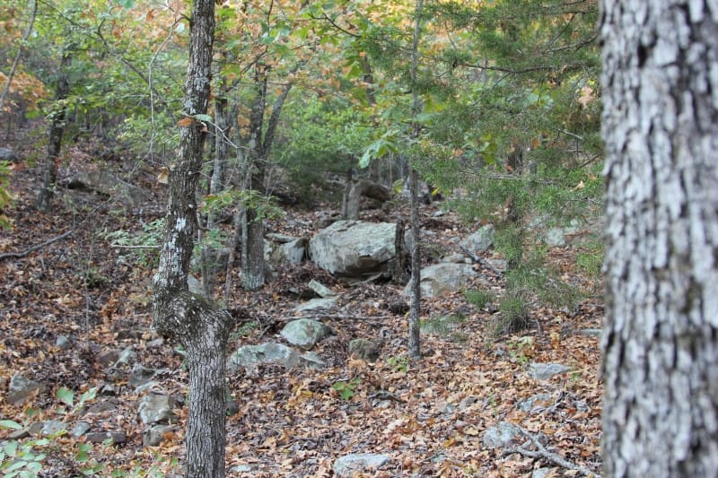 Lake View Ranch Tract 36 photo 5