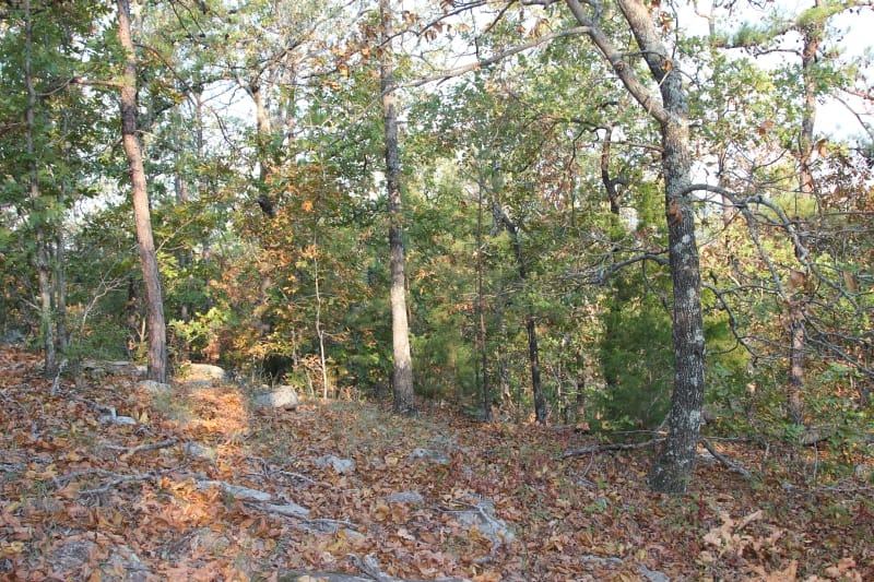 Lake View Ranch Tract 36 photo 6