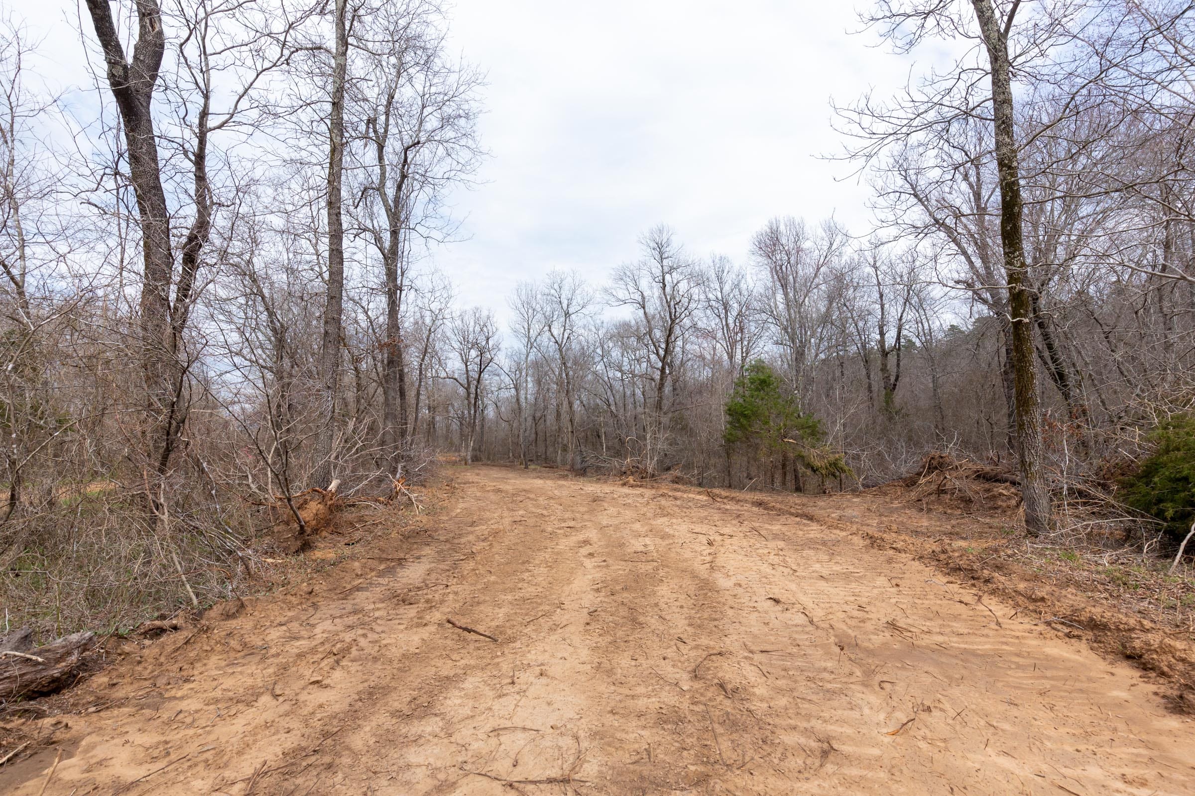 Stone Bridge Phase III Tract 155 photo 7