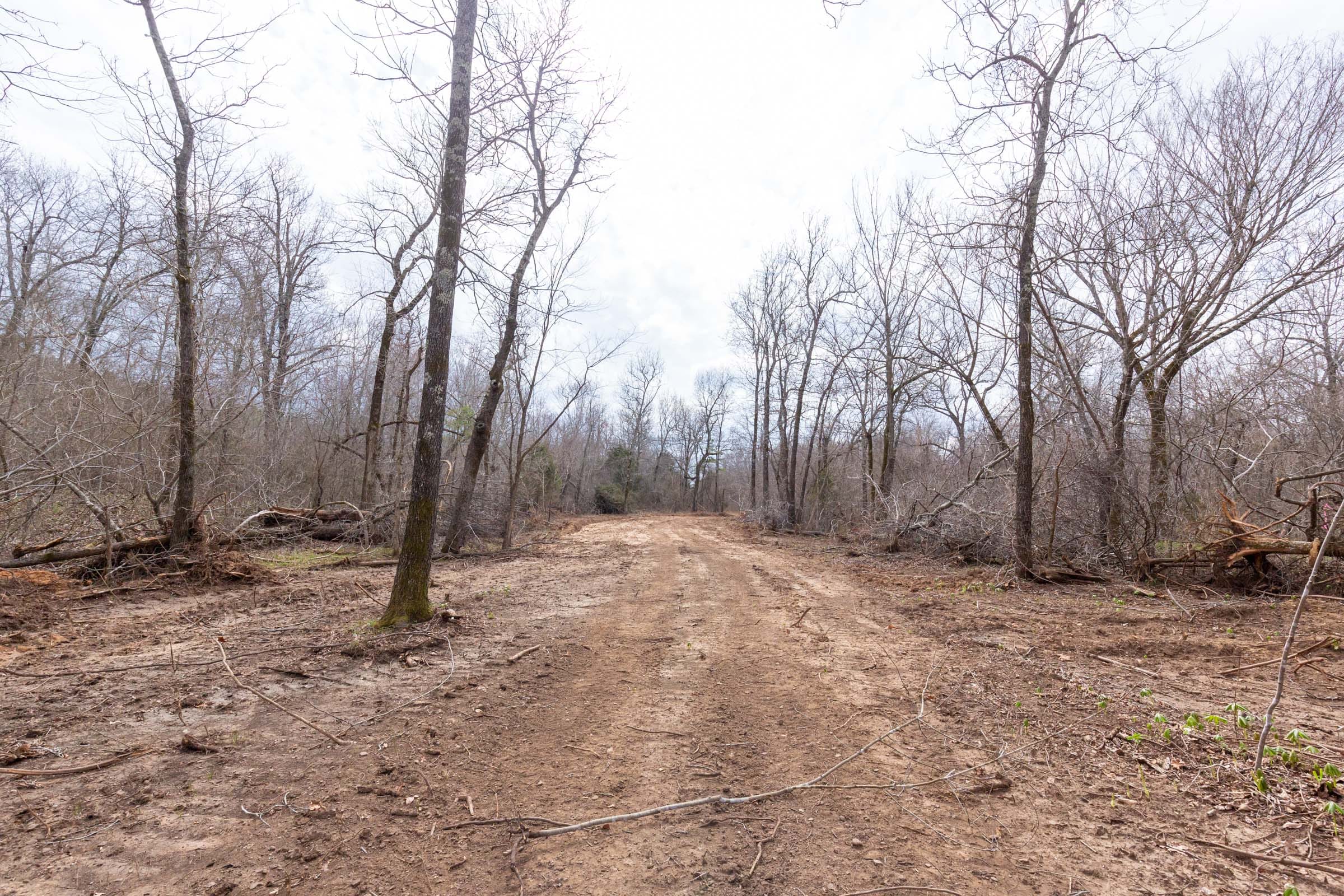 Stone Bridge Phase III Tract 155 photo 1