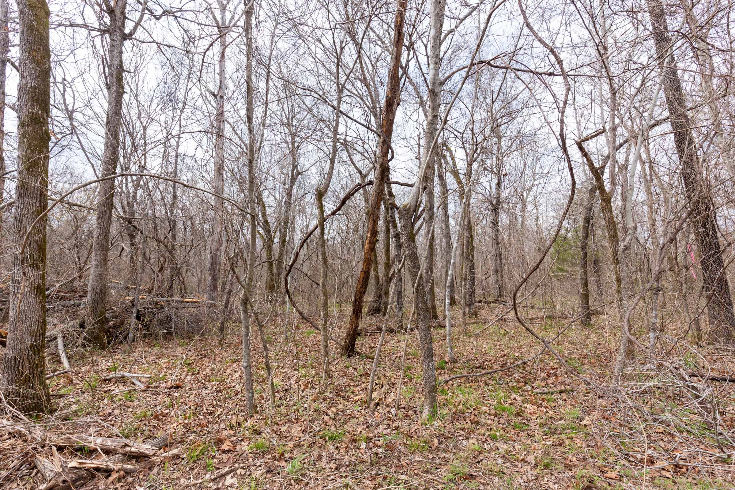 Stone Bridge Phase III Tract 155 photo 3
