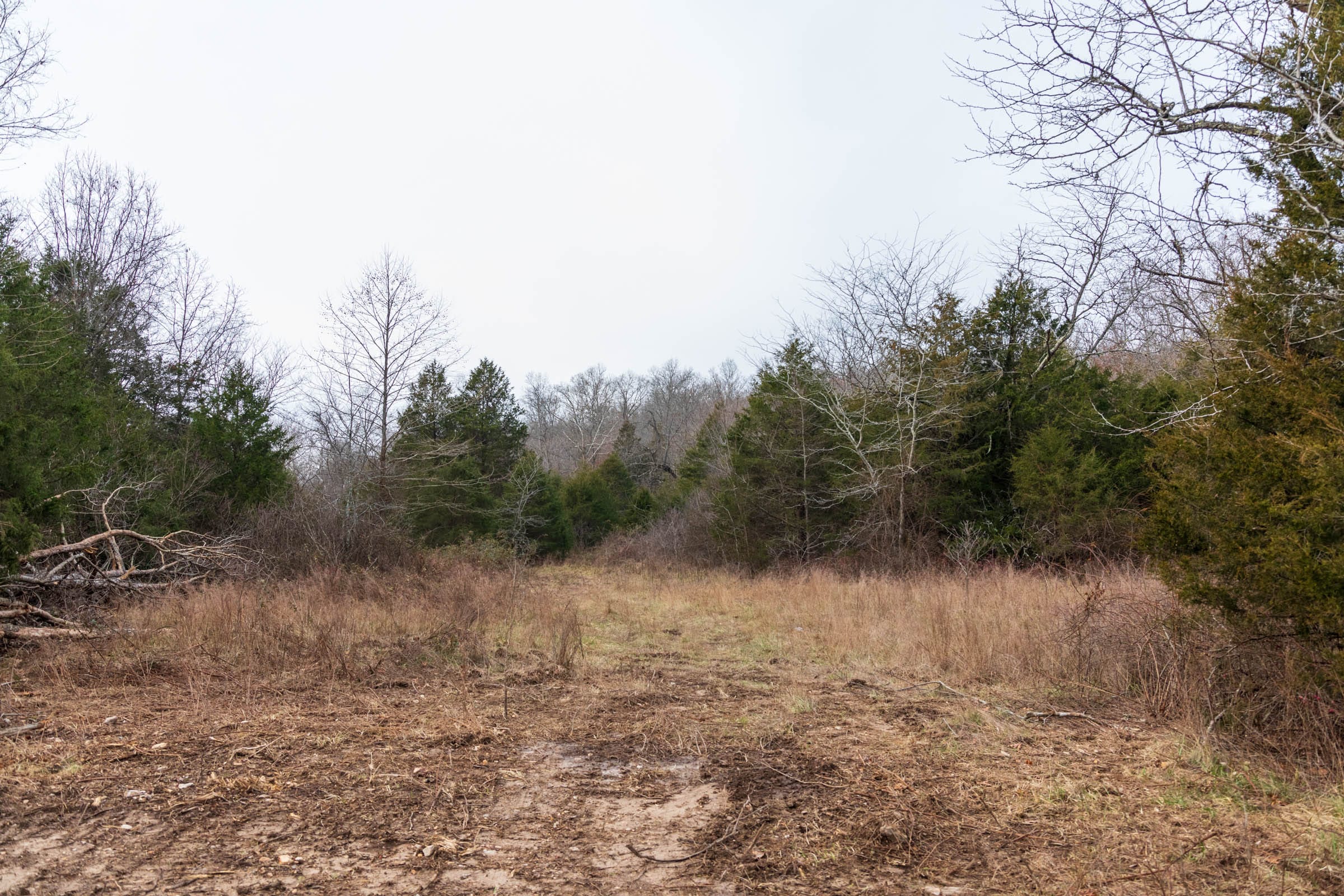 Crossroads Tract 27 photo 3