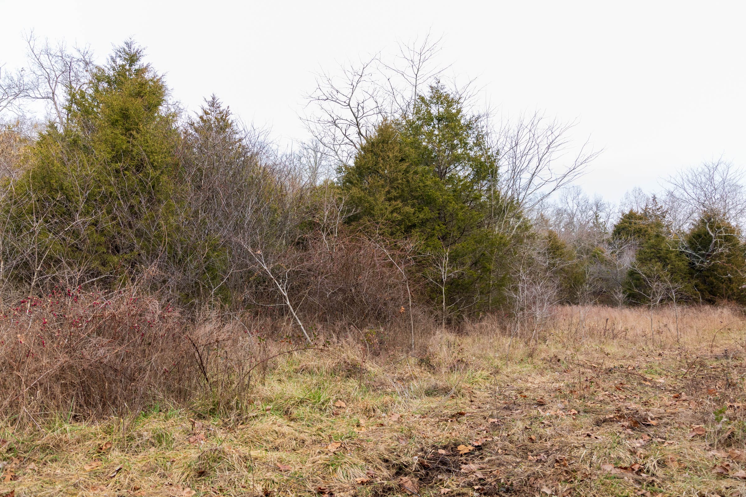 Crossroads Tract 27 photo 4