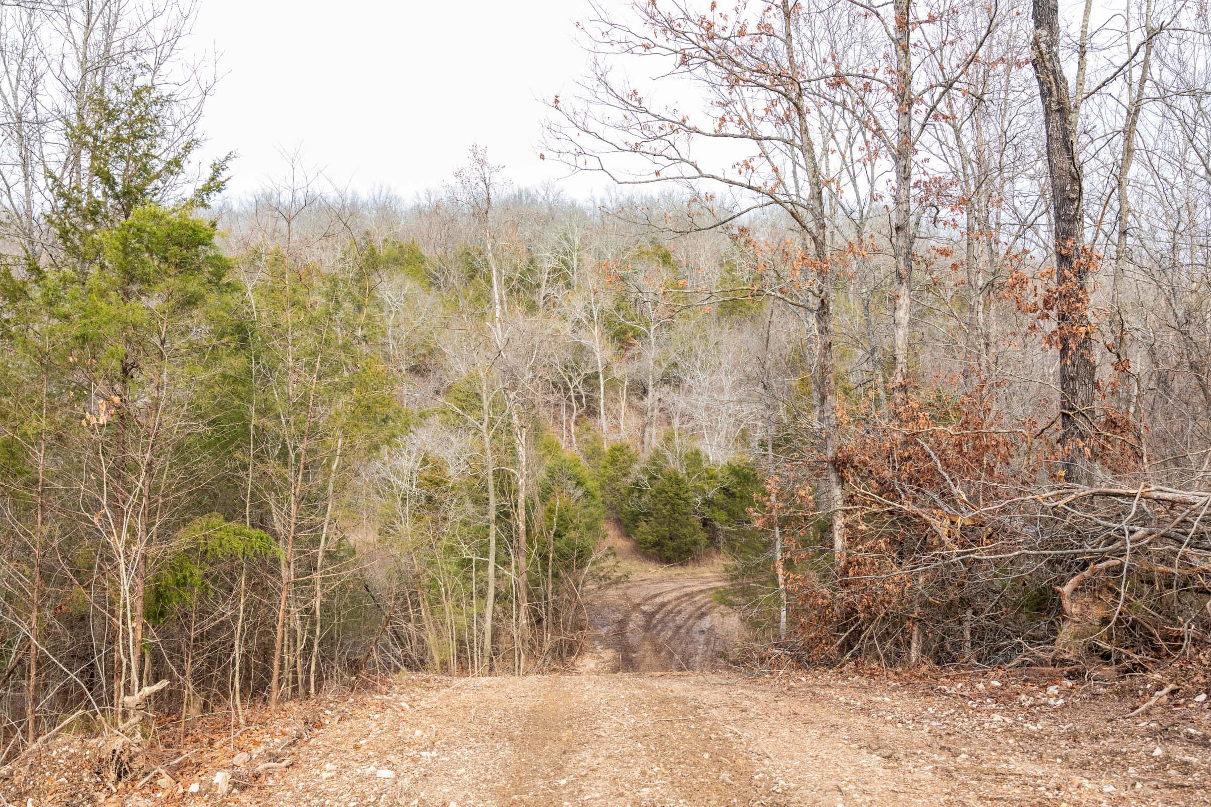 Crossroads Tract 27 photo 5