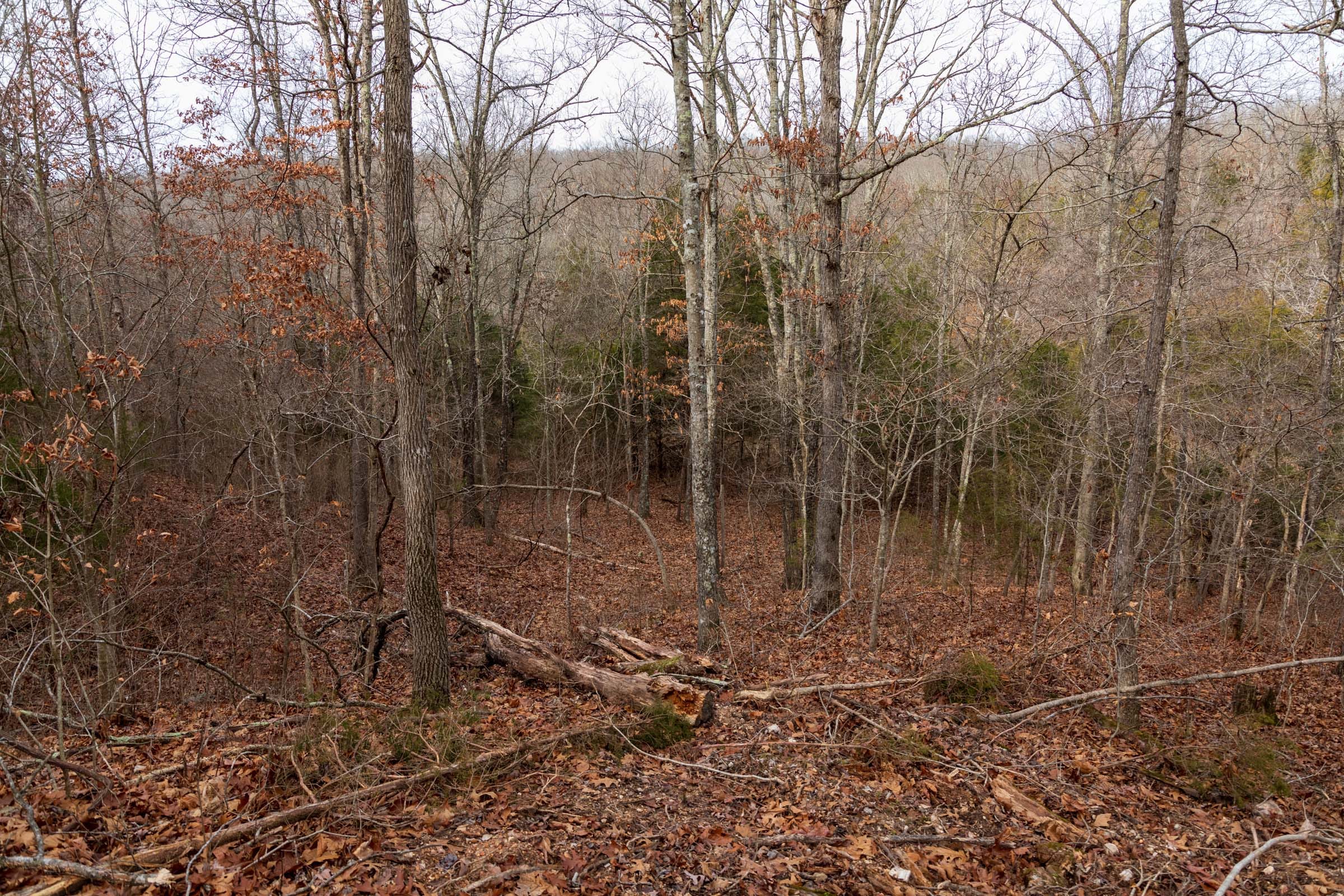 Crossroads Tract 27 photo 6