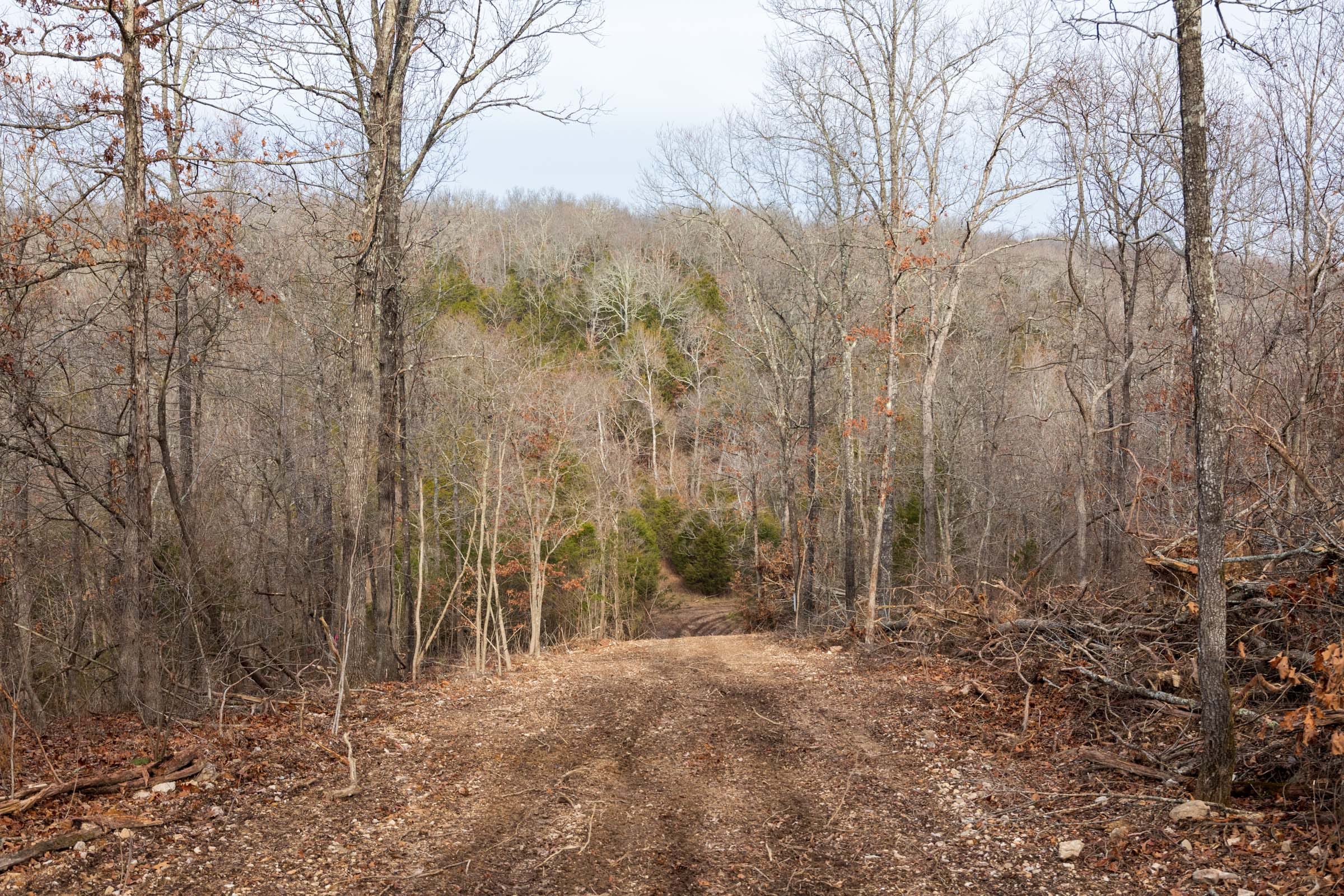 Crossroads Tract 27 photo 7