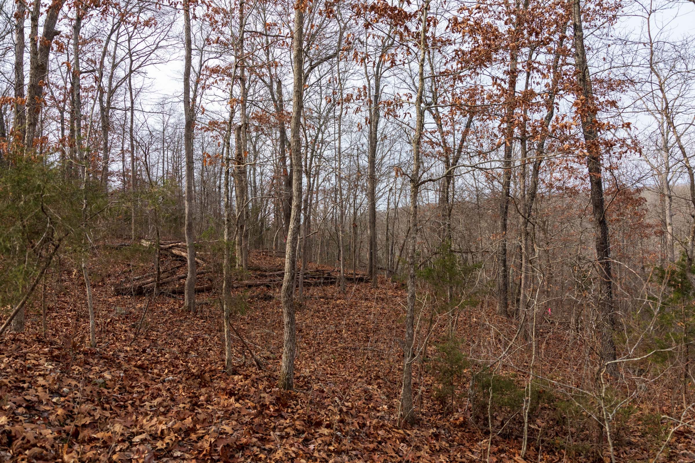Crossroads Tract 27 photo 8