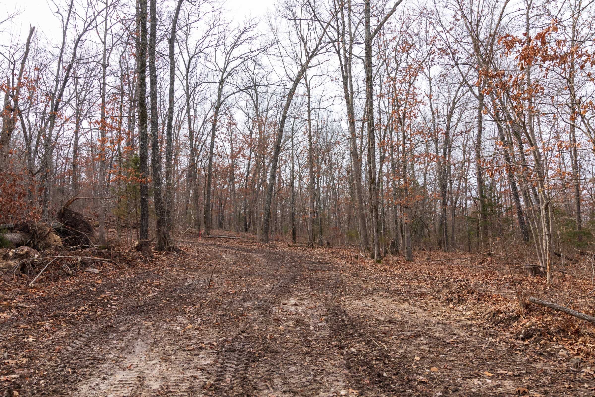 Crossroads Tract 27 photo 9