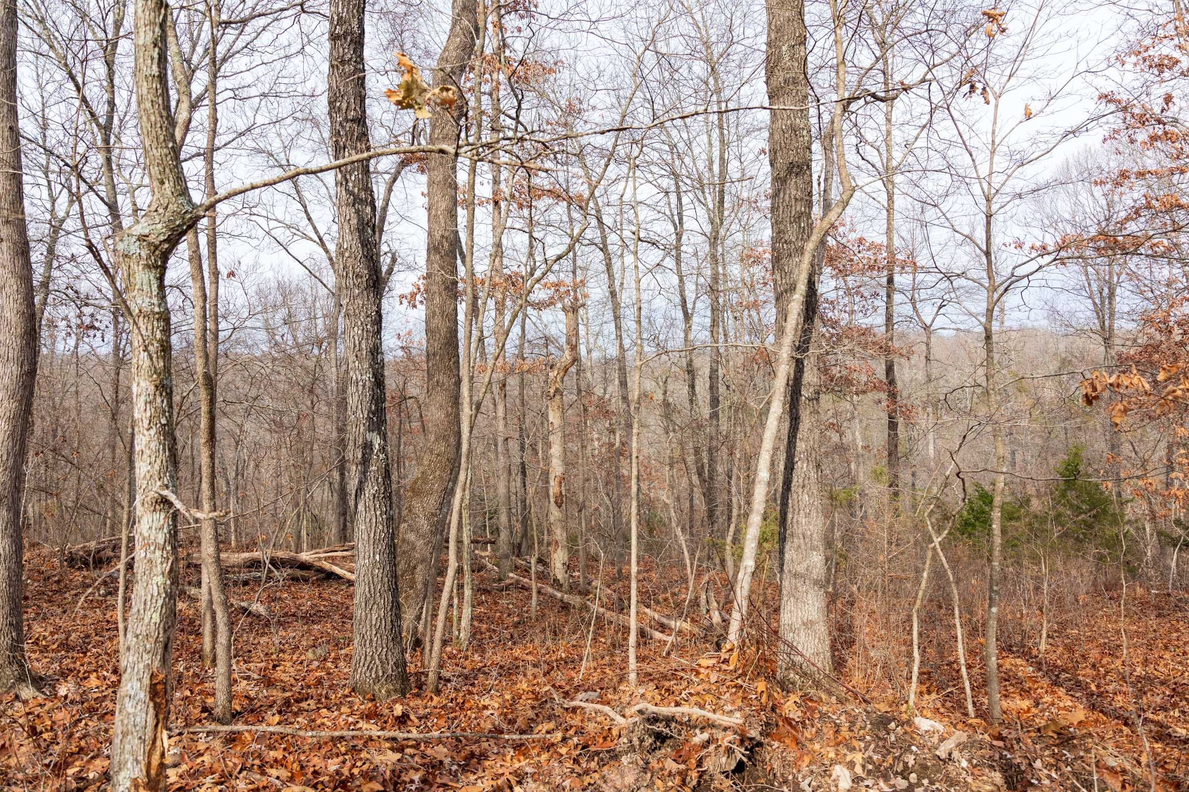 Crossroads Tract 27 photo 10