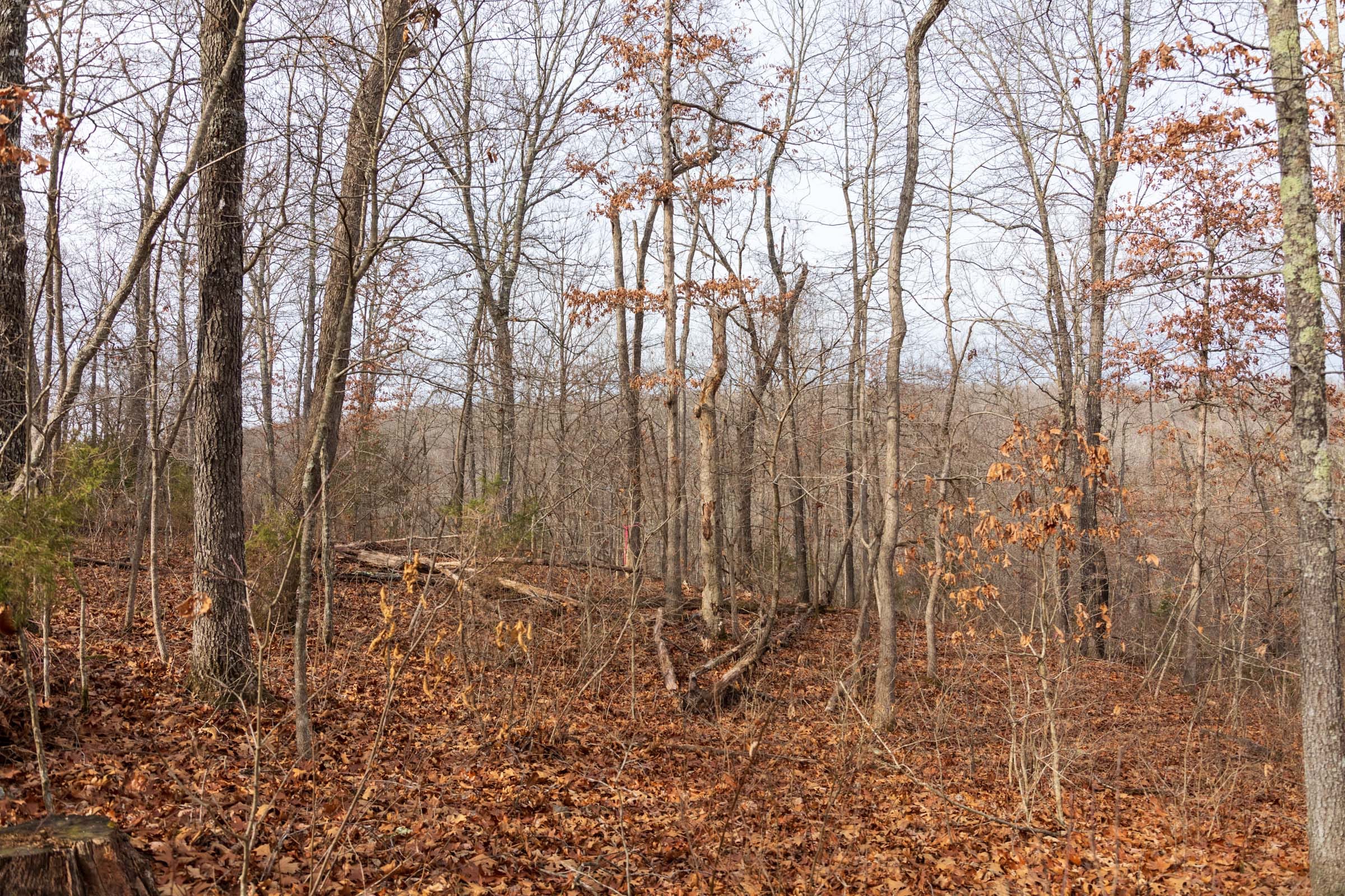 Crossroads Tract 27 photo 11
