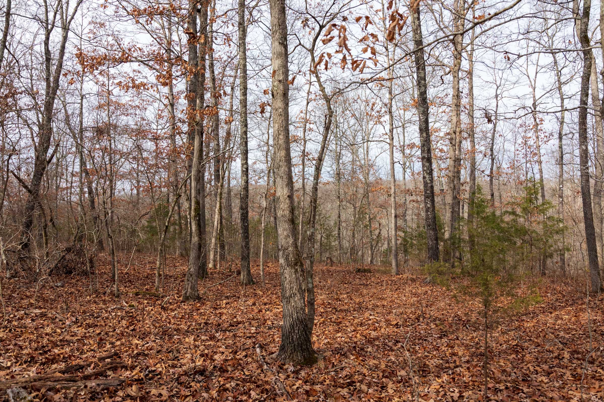 Crossroads Tract 27 photo 12
