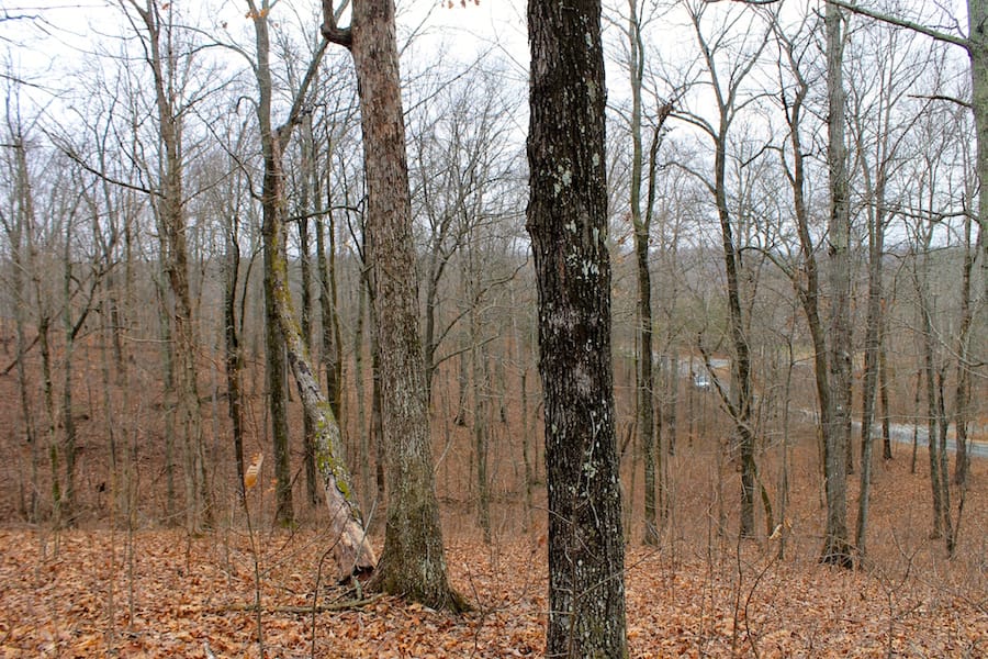 The Tennessean Tract 13 photo 14