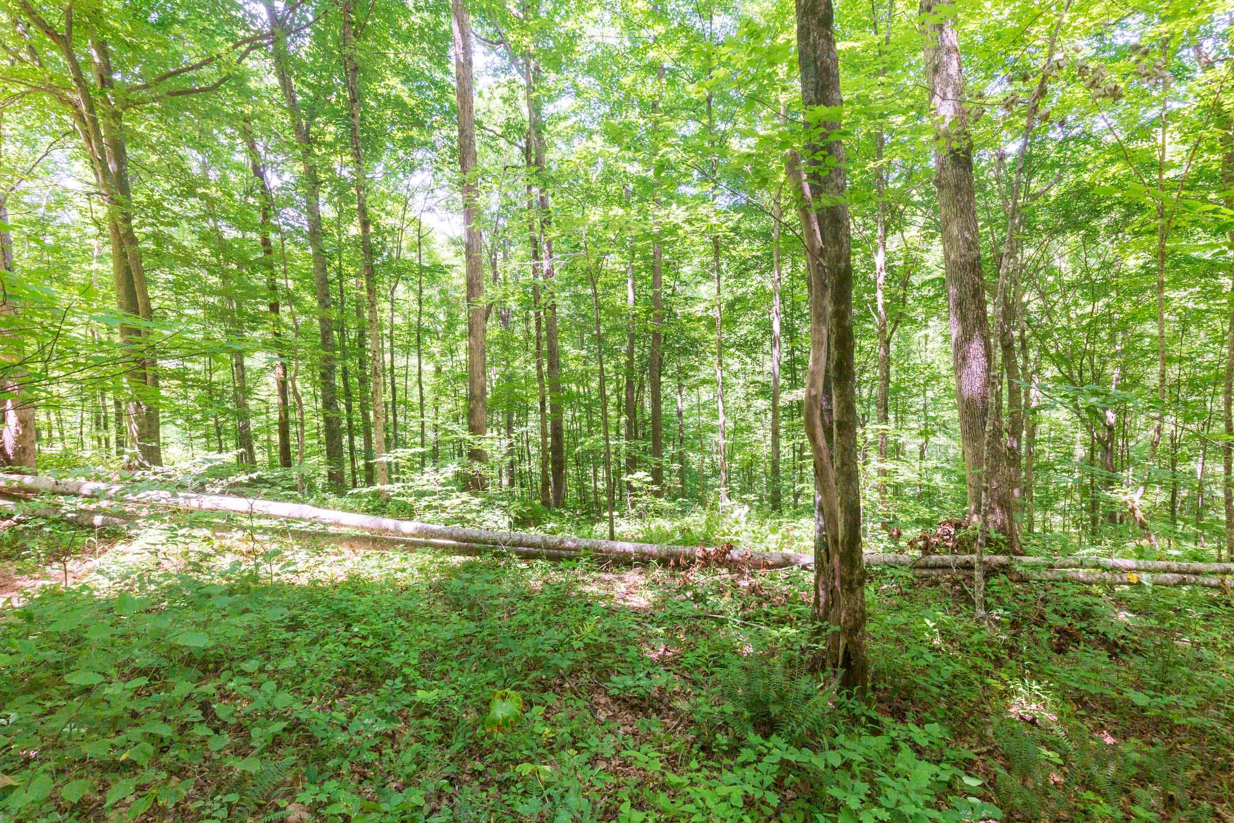 River’s Edge Tract 17 photo 5