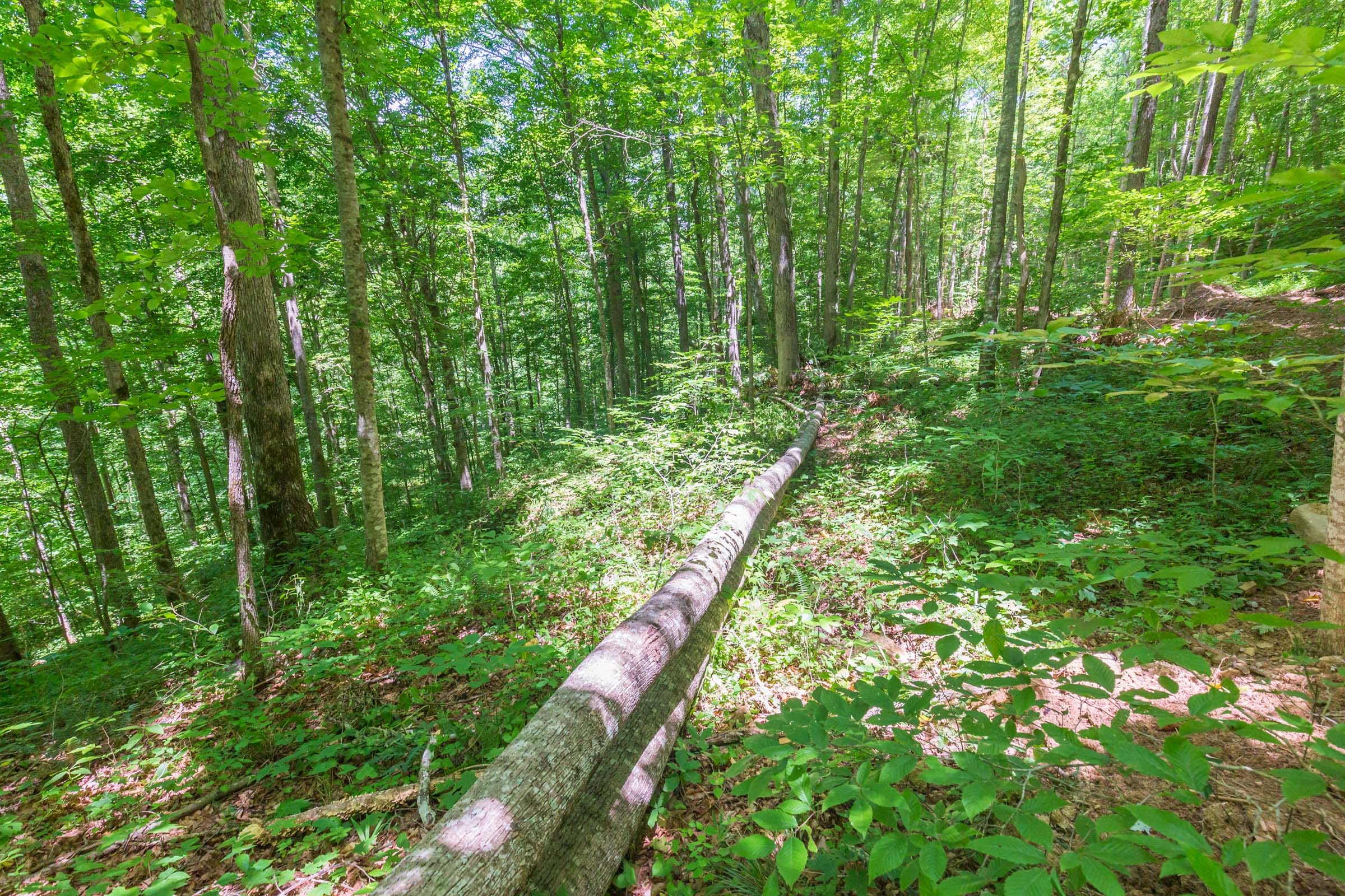 River’s Edge Tract 17 photo 6
