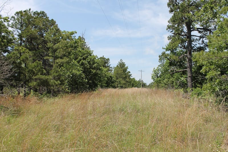 Indian Ridge – Phase II Tract 30 photo 2