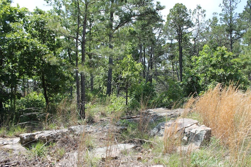 Indian Ridge – Phase II Tract 30 photo 3