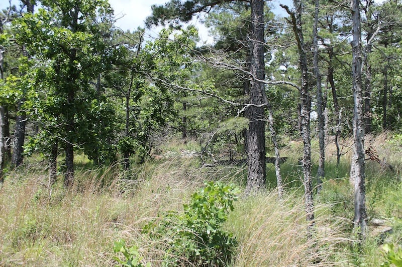 Indian Ridge – Phase II Tract 30 photo 6