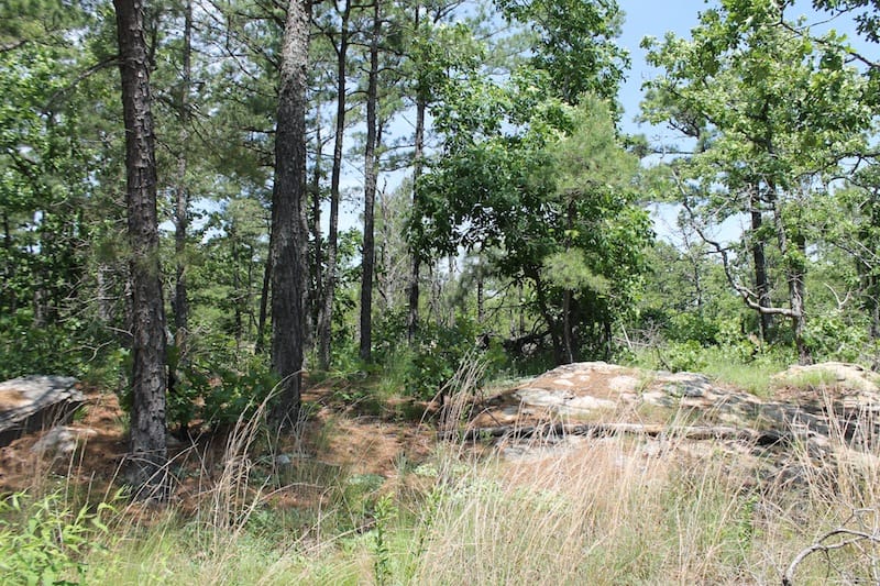 Indian Ridge – Phase II Tract 30 photo 7