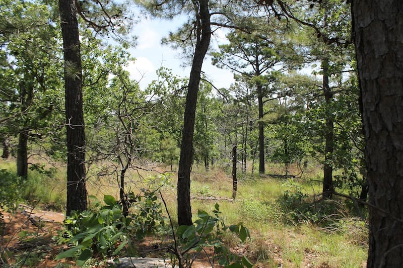 Indian Ridge – Phase II Tract 30 photo 8