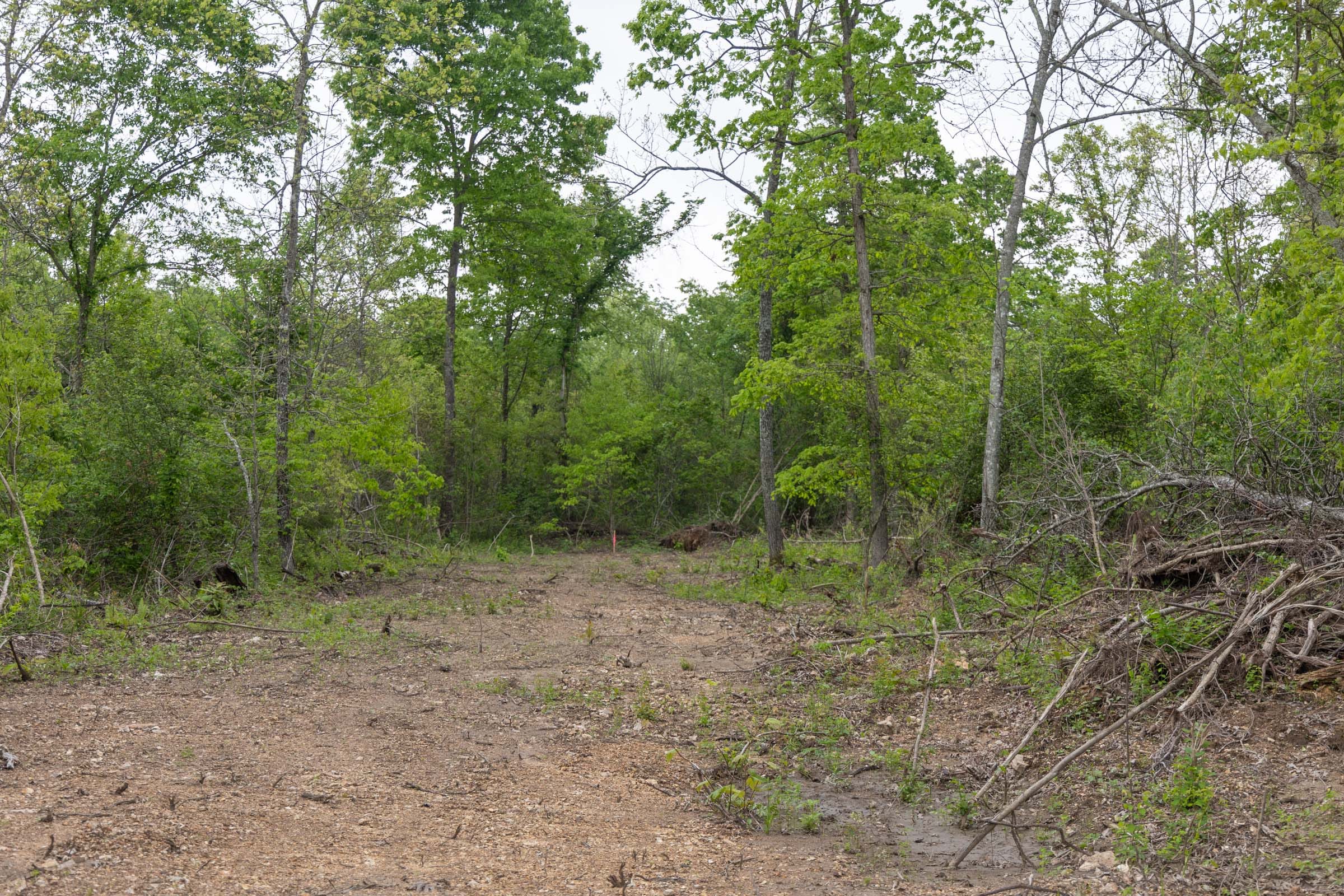 Sleepy Hollow Phase II Tract 98 photo 6
