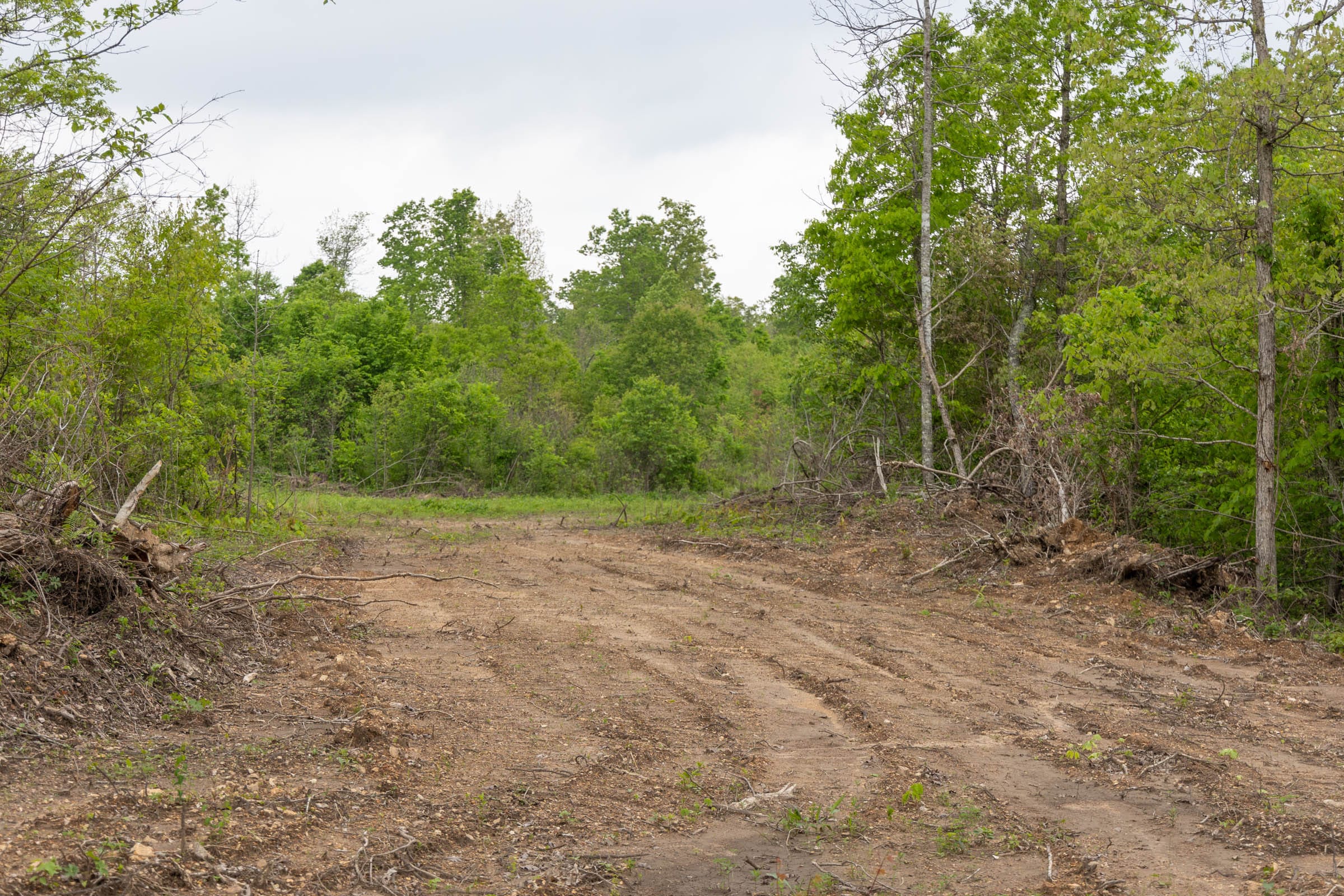 Sleepy Hollow Phase II Tract 98 photo 1
