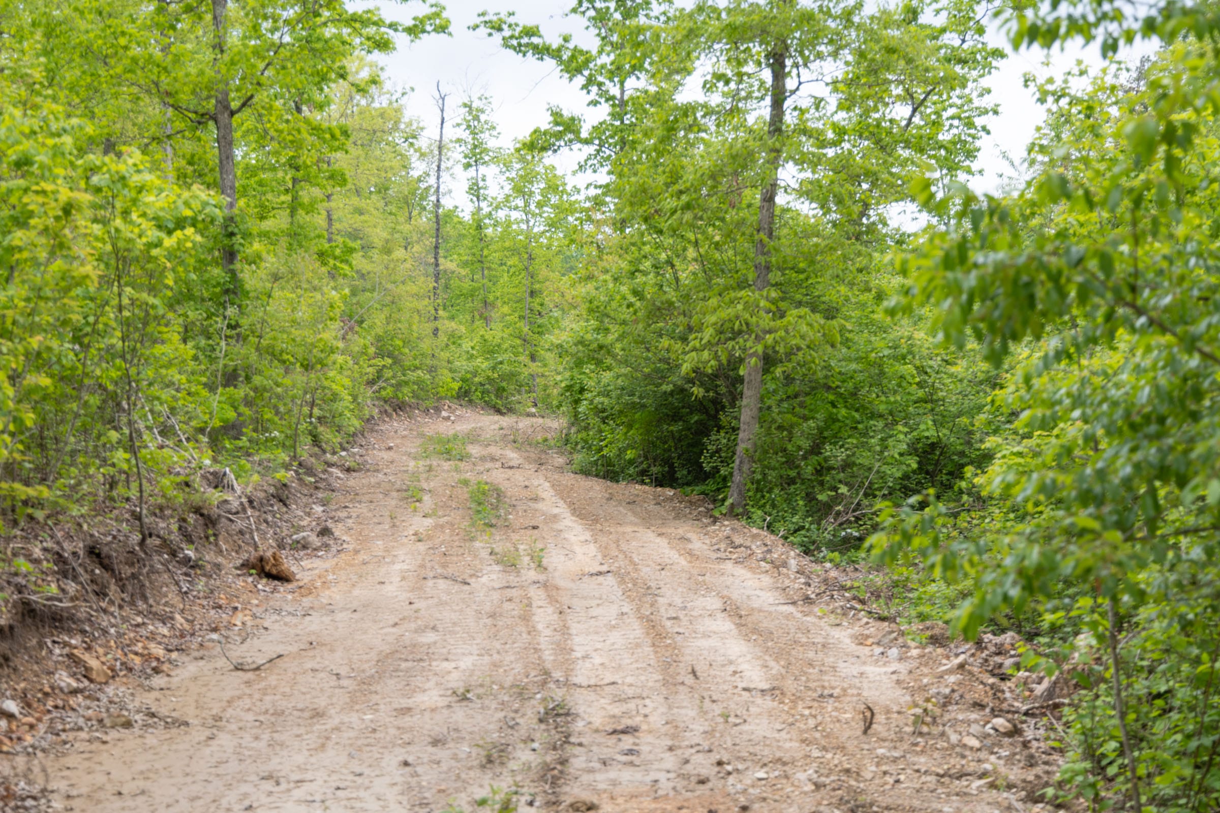 Sleepy Hollow Phase II Tract 98 photo 3