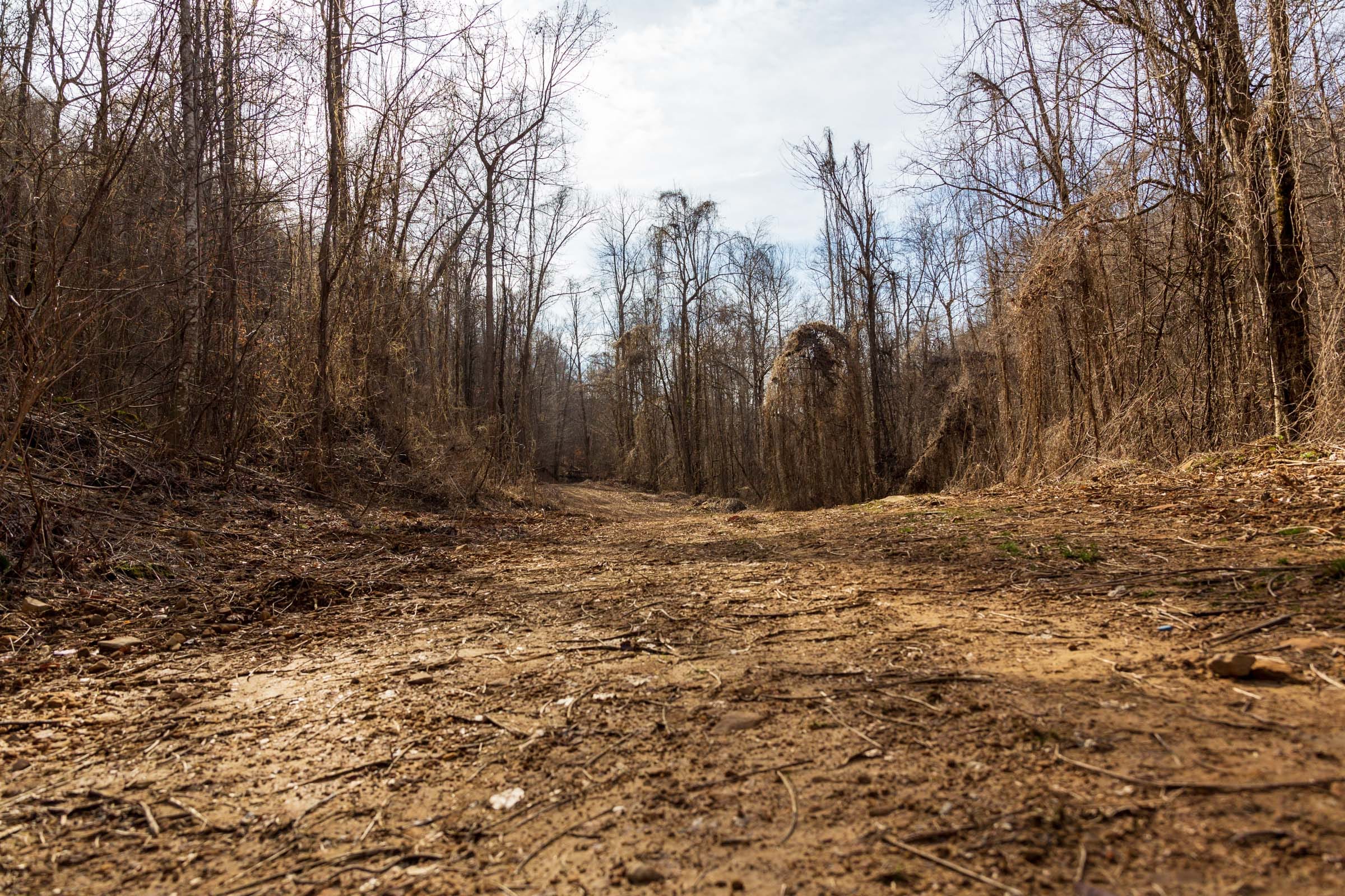 Blackstone Mountain Phase II Tract 62 photo 1