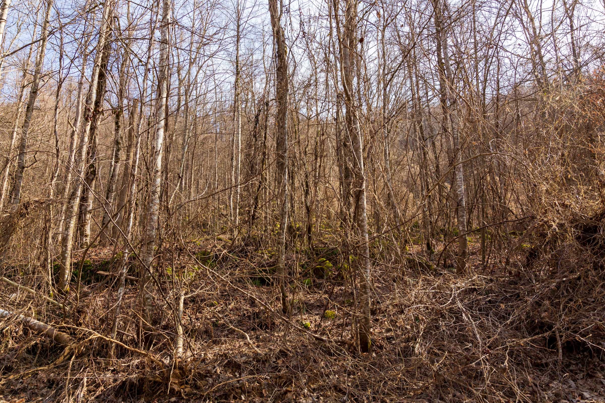 Blackstone Mountain Phase II Tract 62 photo 2