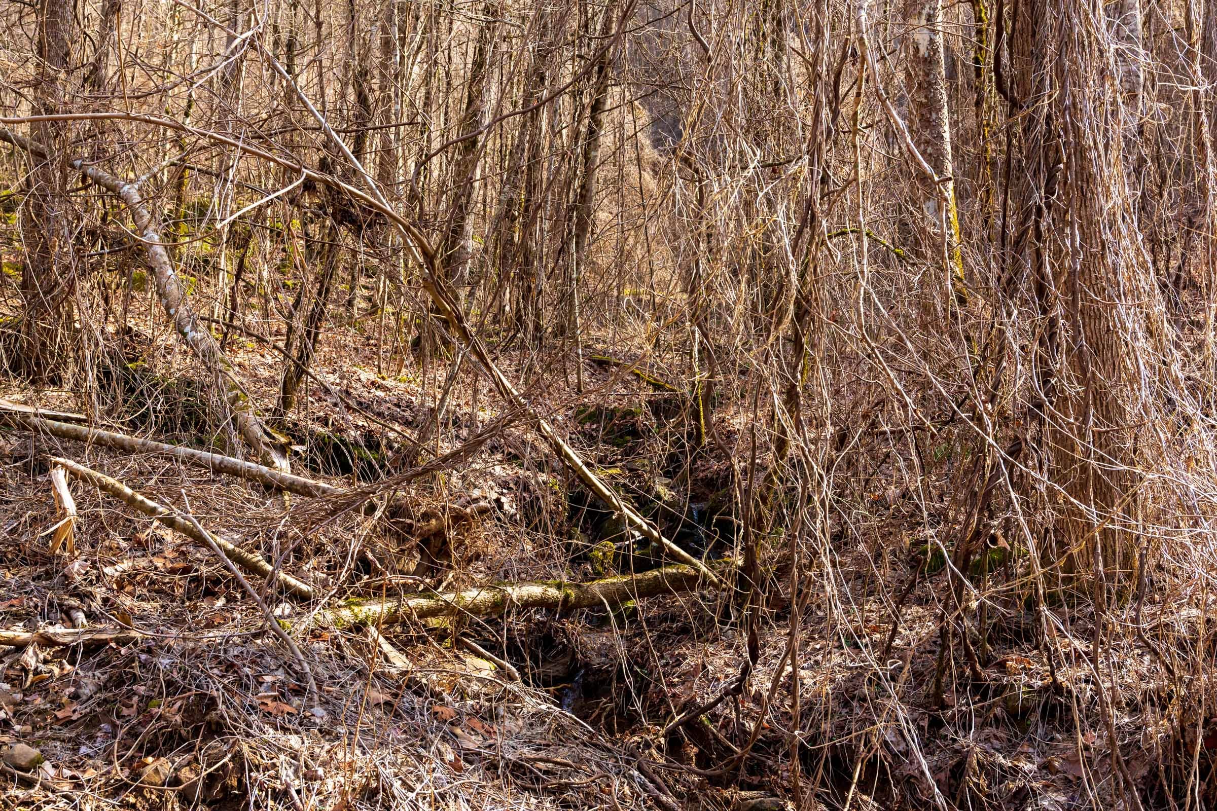 Blackstone Mountain Phase II Tract 62 photo 3