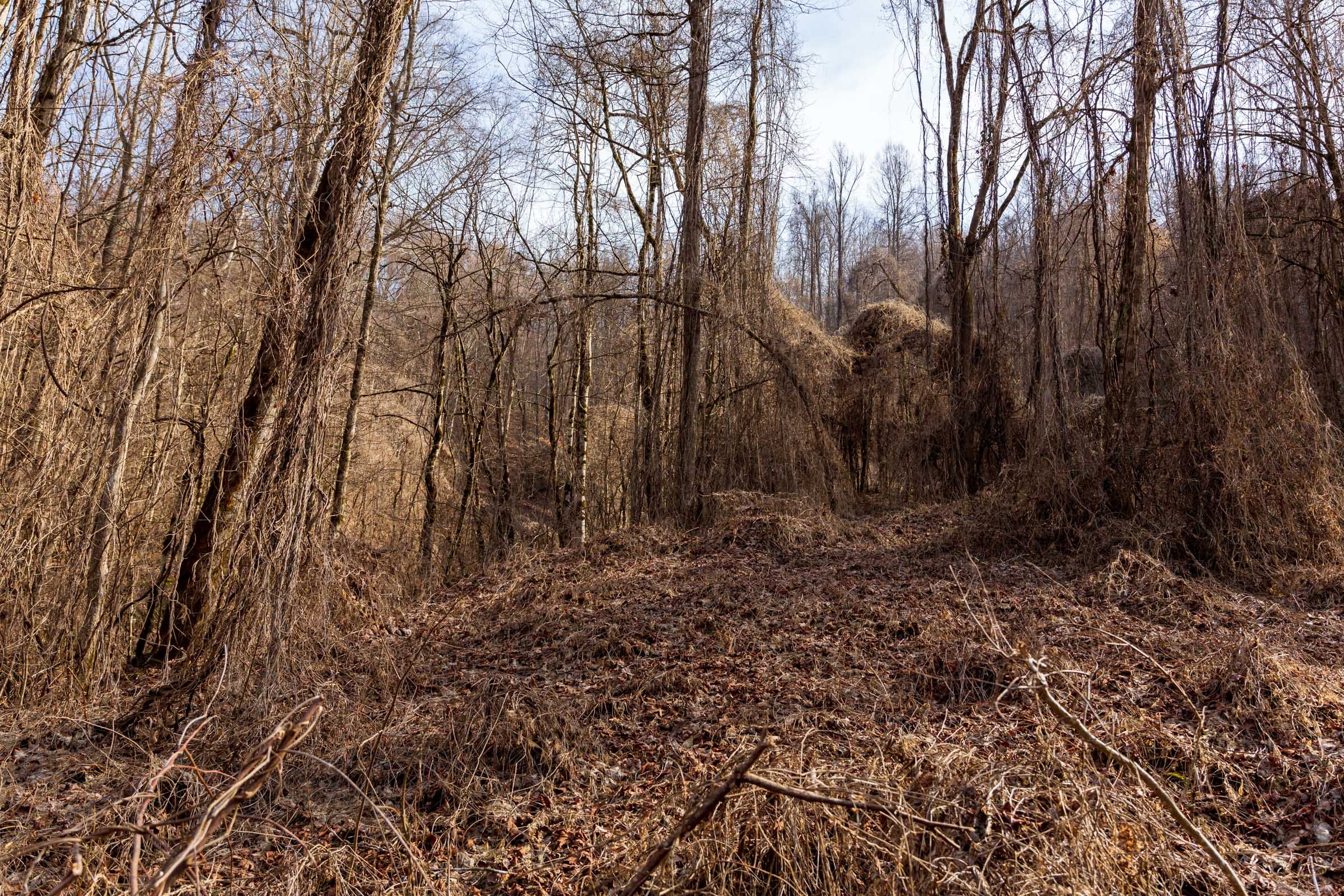 Blackstone Mountain Phase II Tract 62 photo 4