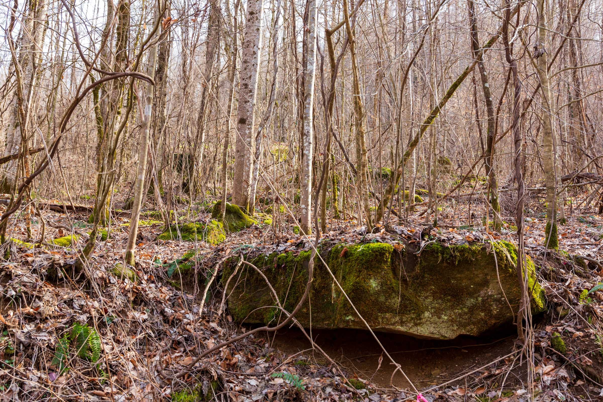 Blackstone Mountain Phase II Tract 62 photo 5
