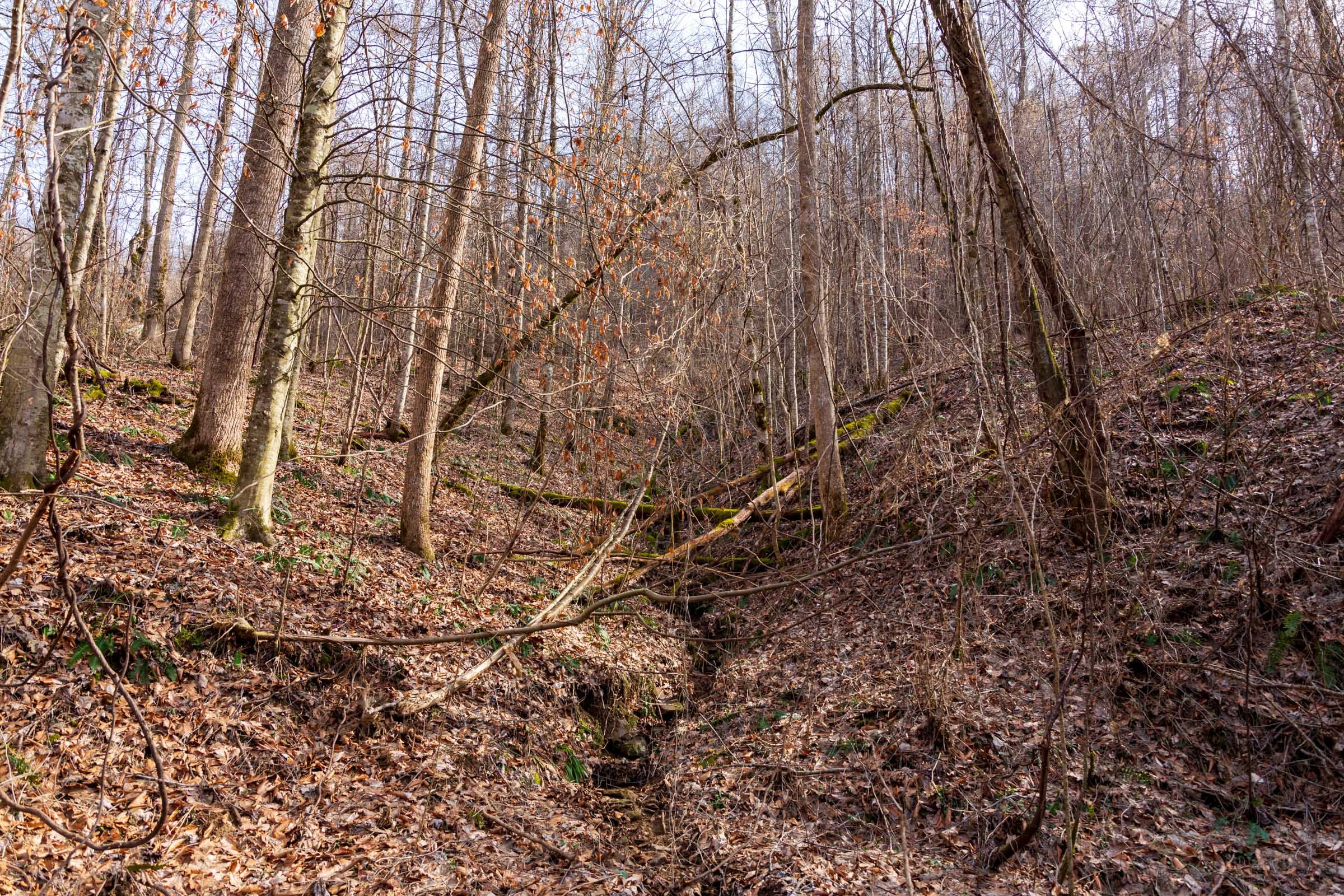 Blackstone Mountain Phase II Tract 62 photo 7