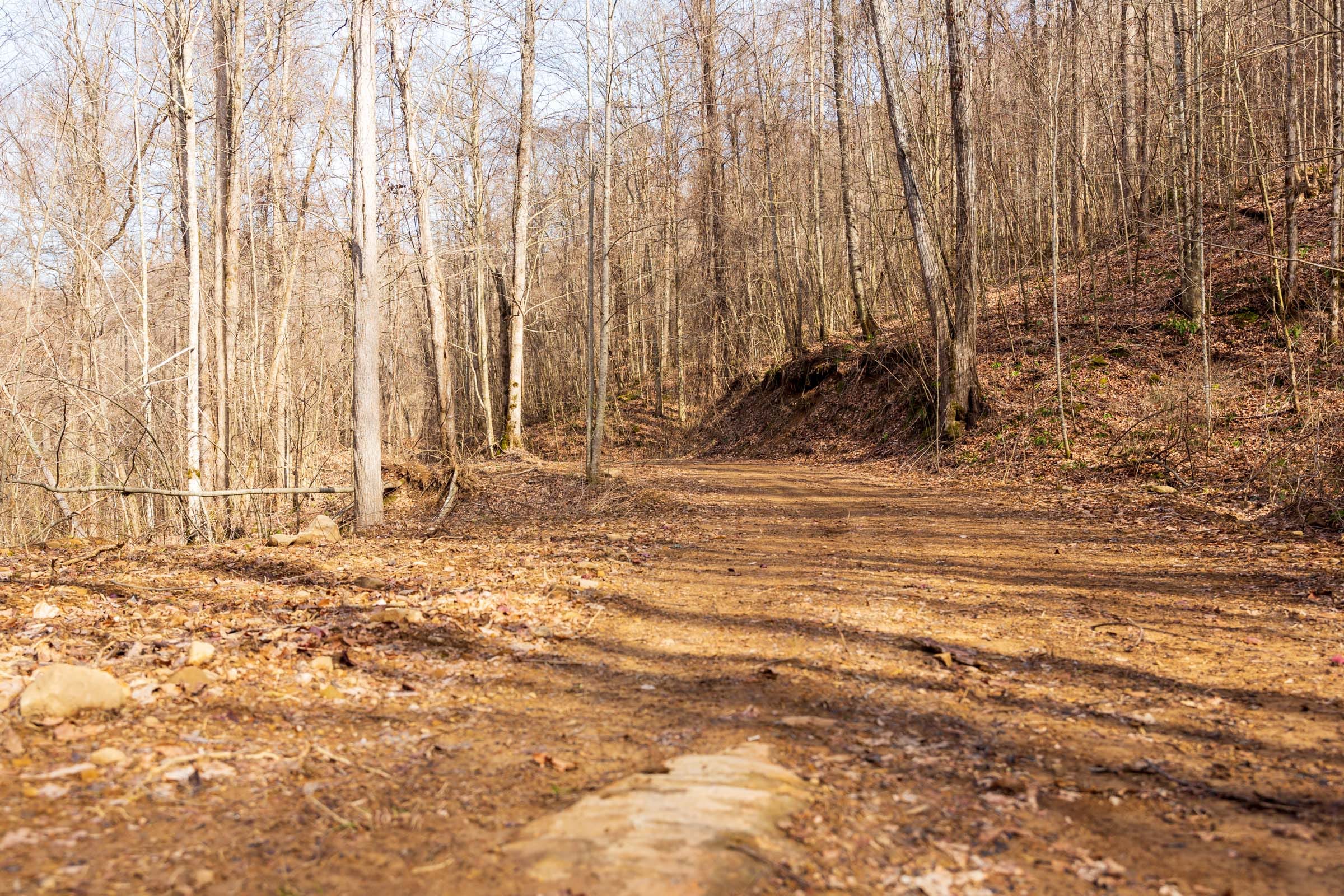 Blackstone Mountain Phase II Tract 62 photo 6