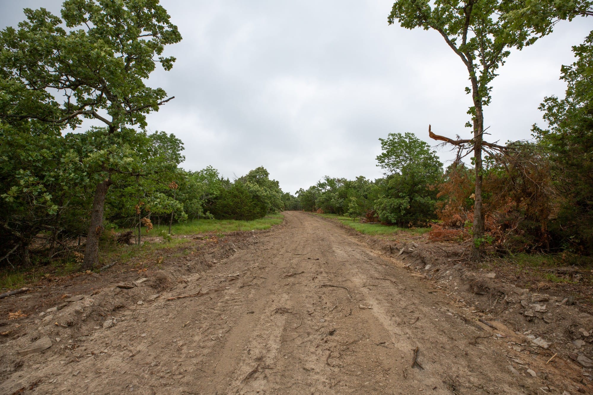 Eagle’s Nest Tract 76 photo 5