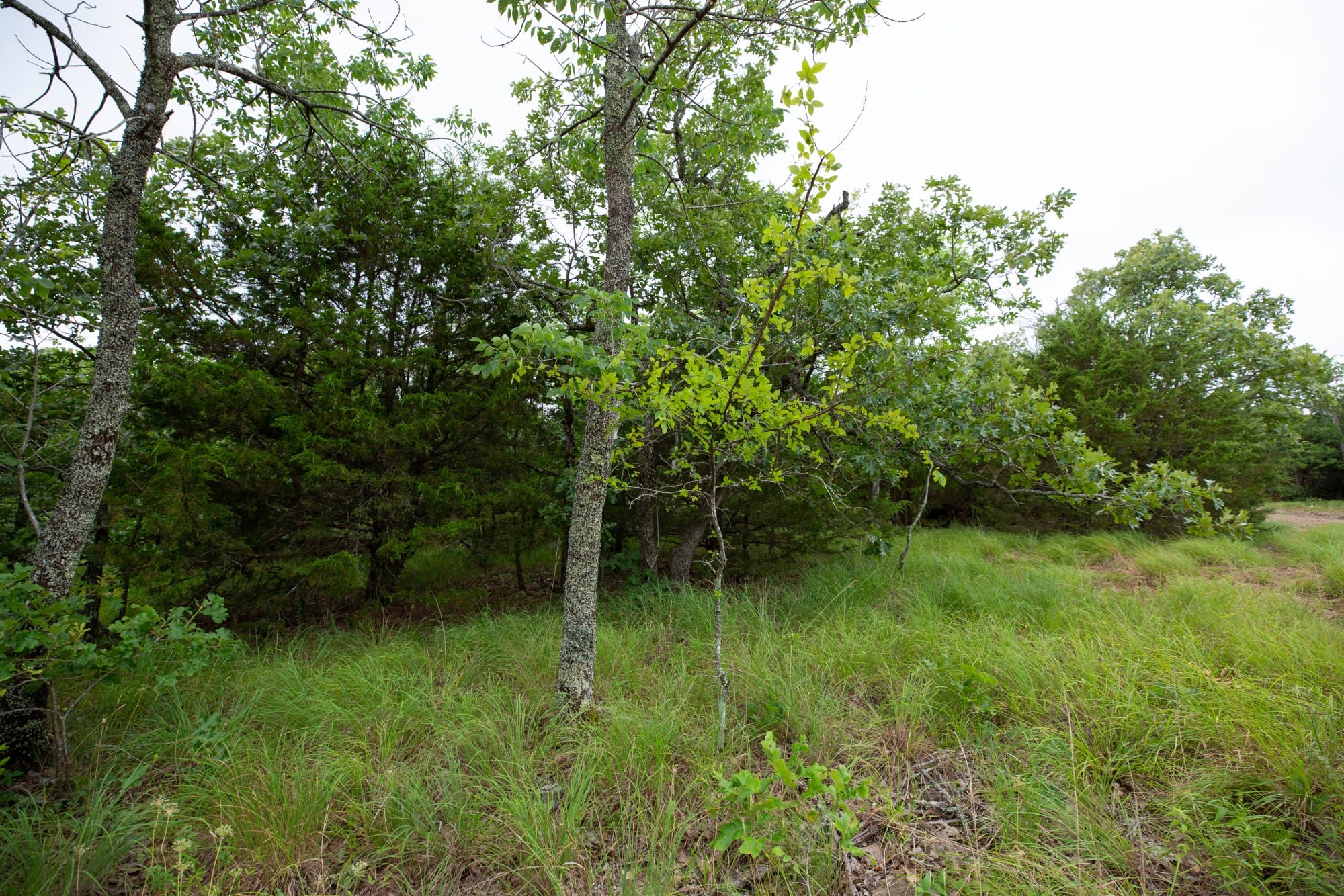 Eagle’s Nest Tract 76 photo 3