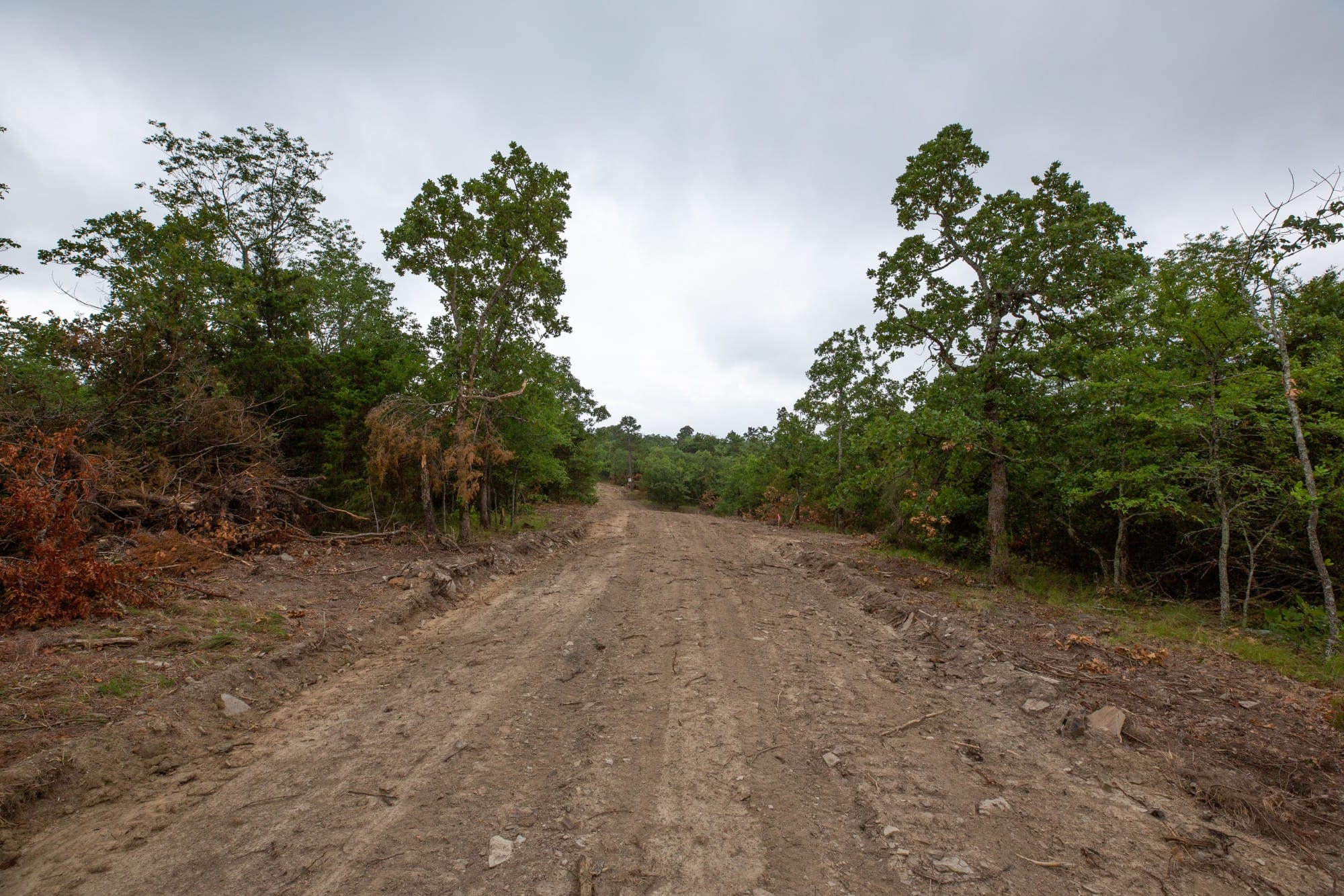 Eagle’s Nest Tract 76 photo 2