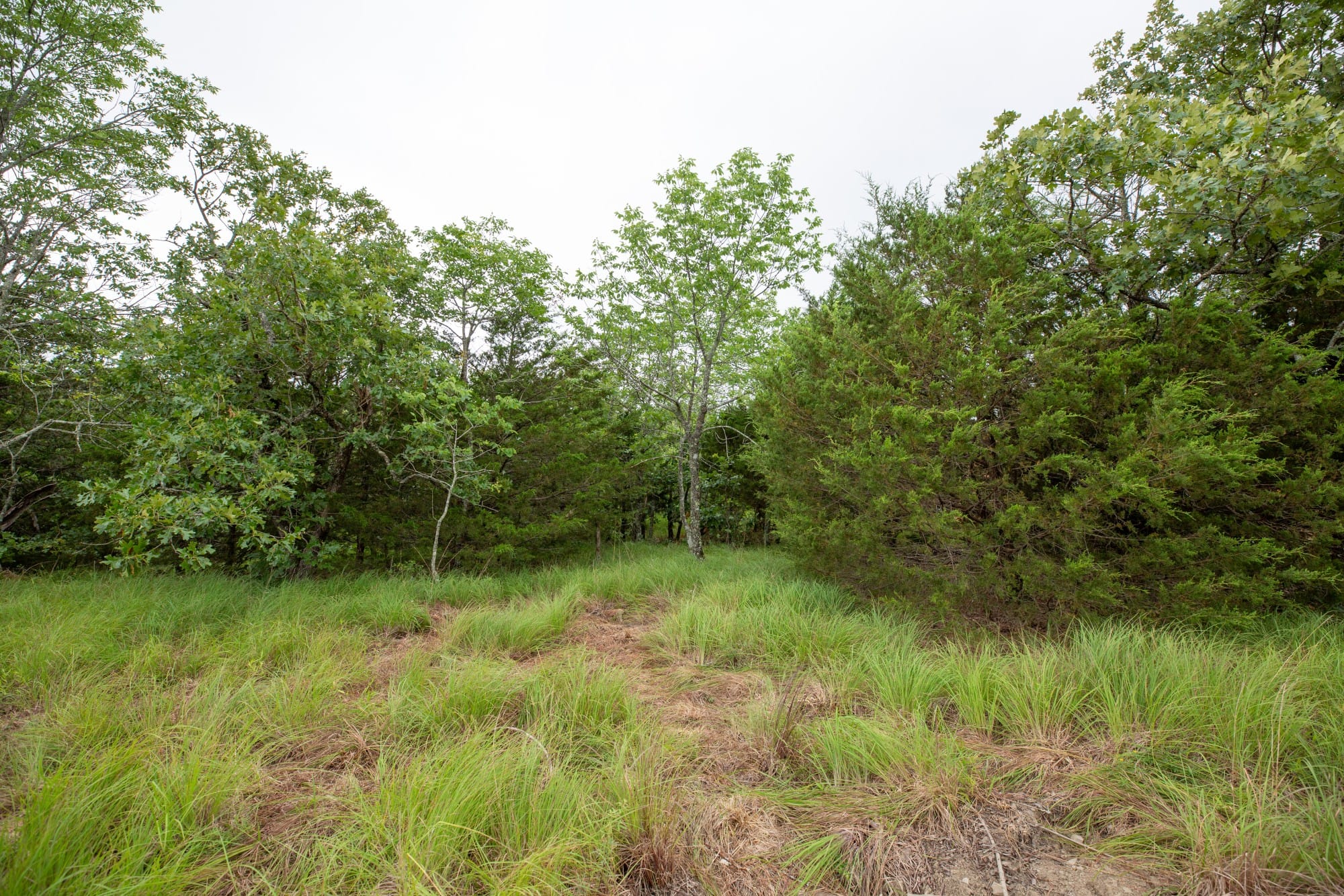 Eagle’s Nest Tract 76 photo 4