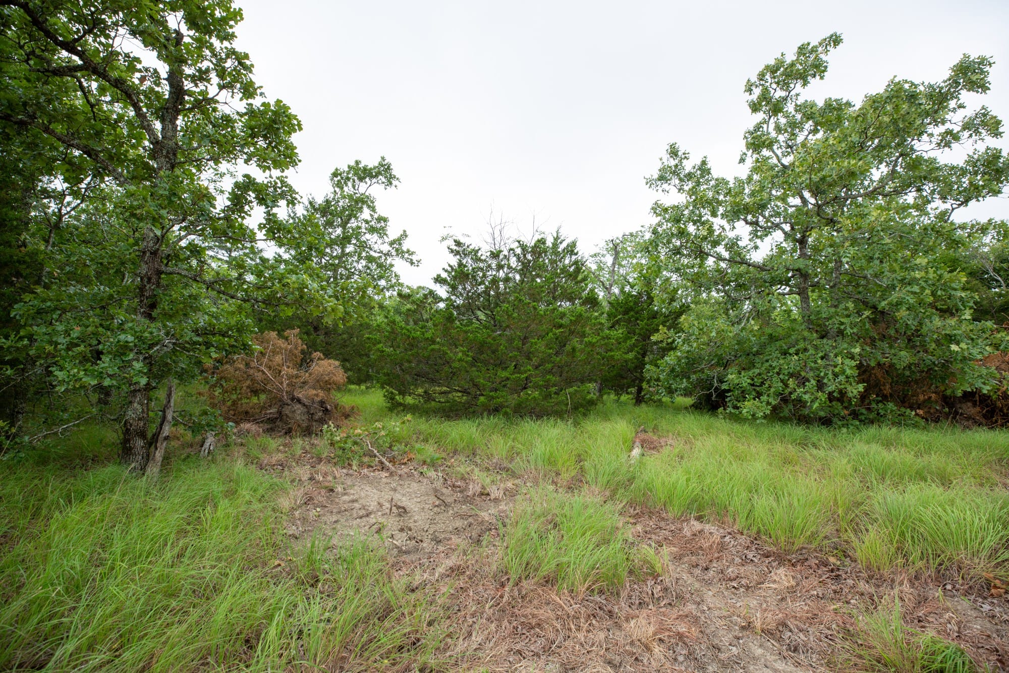 Eagle’s Nest Tract 76 photo 7