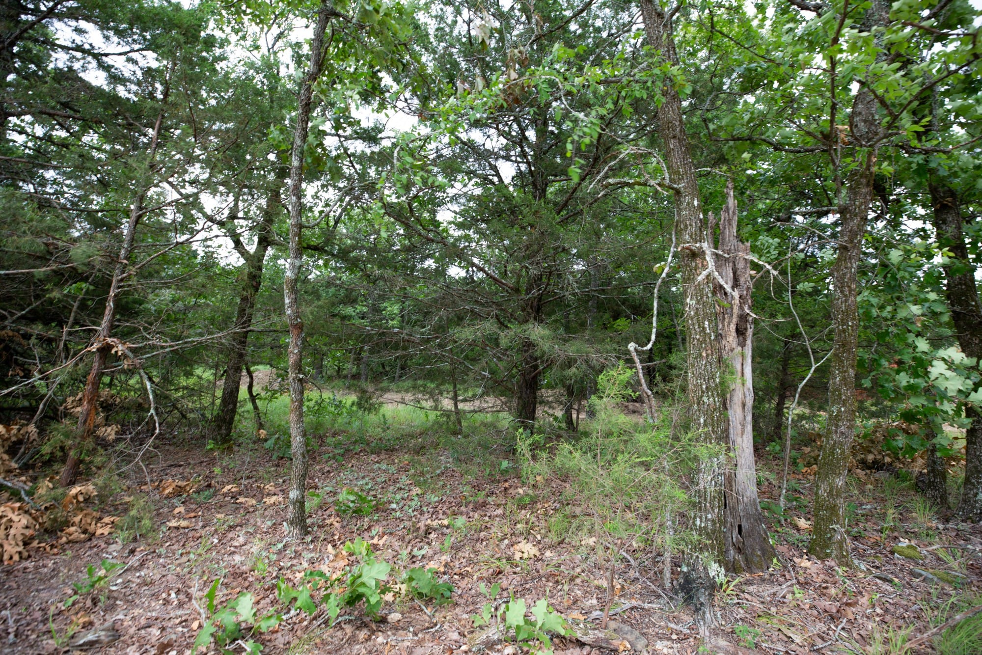 Eagle’s Nest Tract 76 photo 9