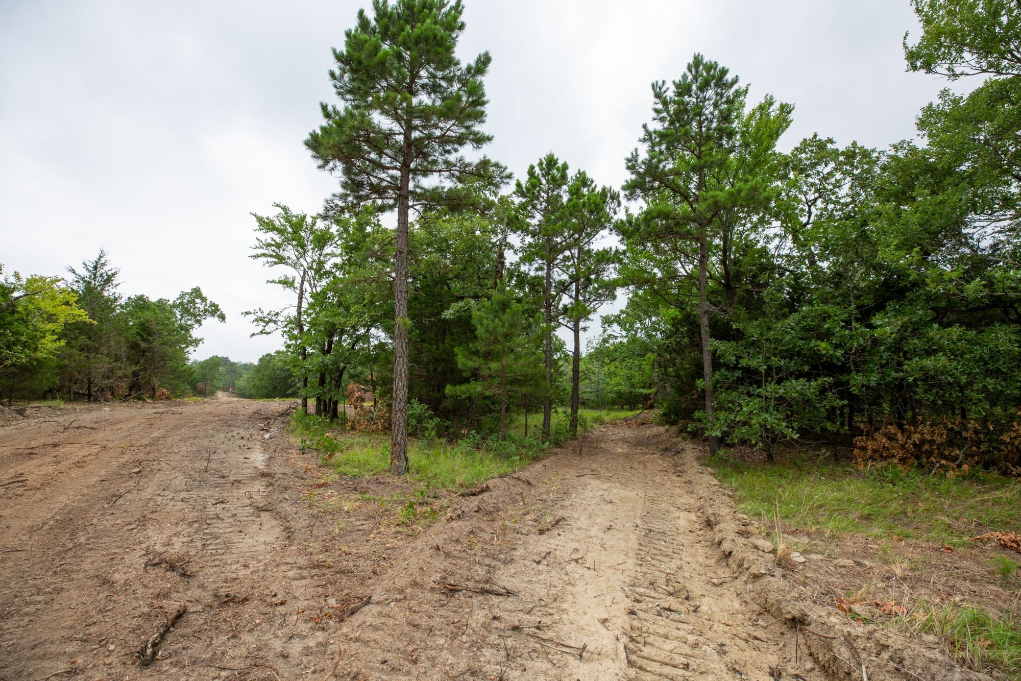 Eagle’s Nest Tract 76 photo 8