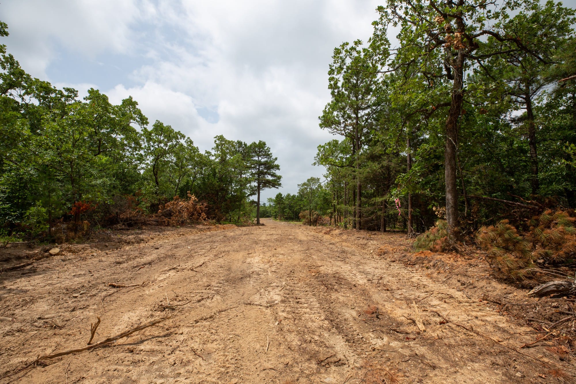 Eagle’s Nest Tract 76 photo 6